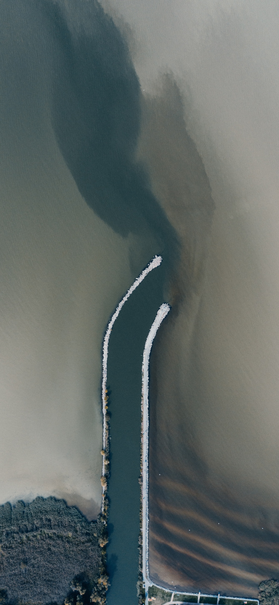 Обои вода, атмосфера, дерево, облако, мир в разрешении 1125x2436