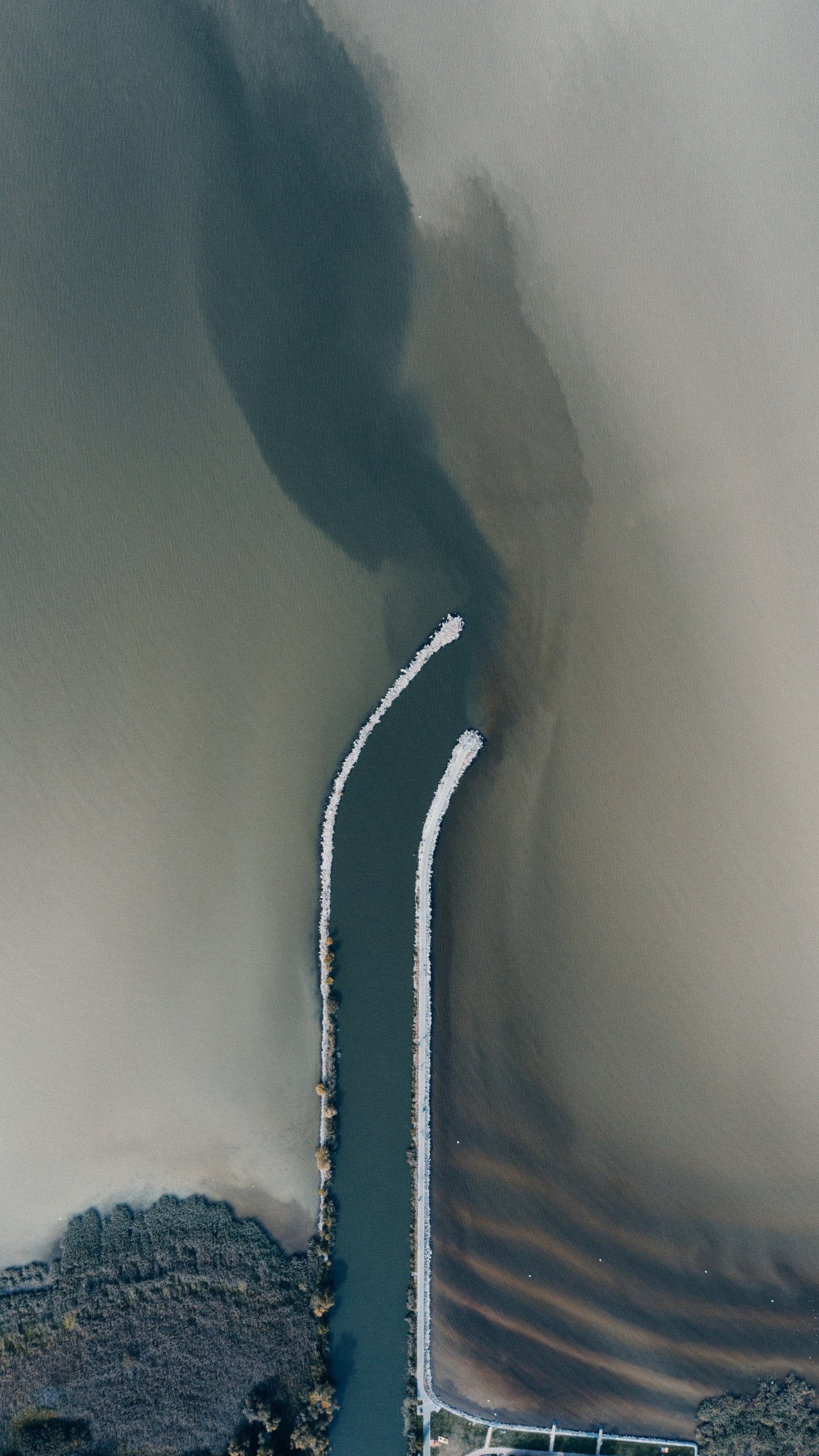 Обои вода, атмосфера, дерево, облако, мир в разрешении 1440x2560