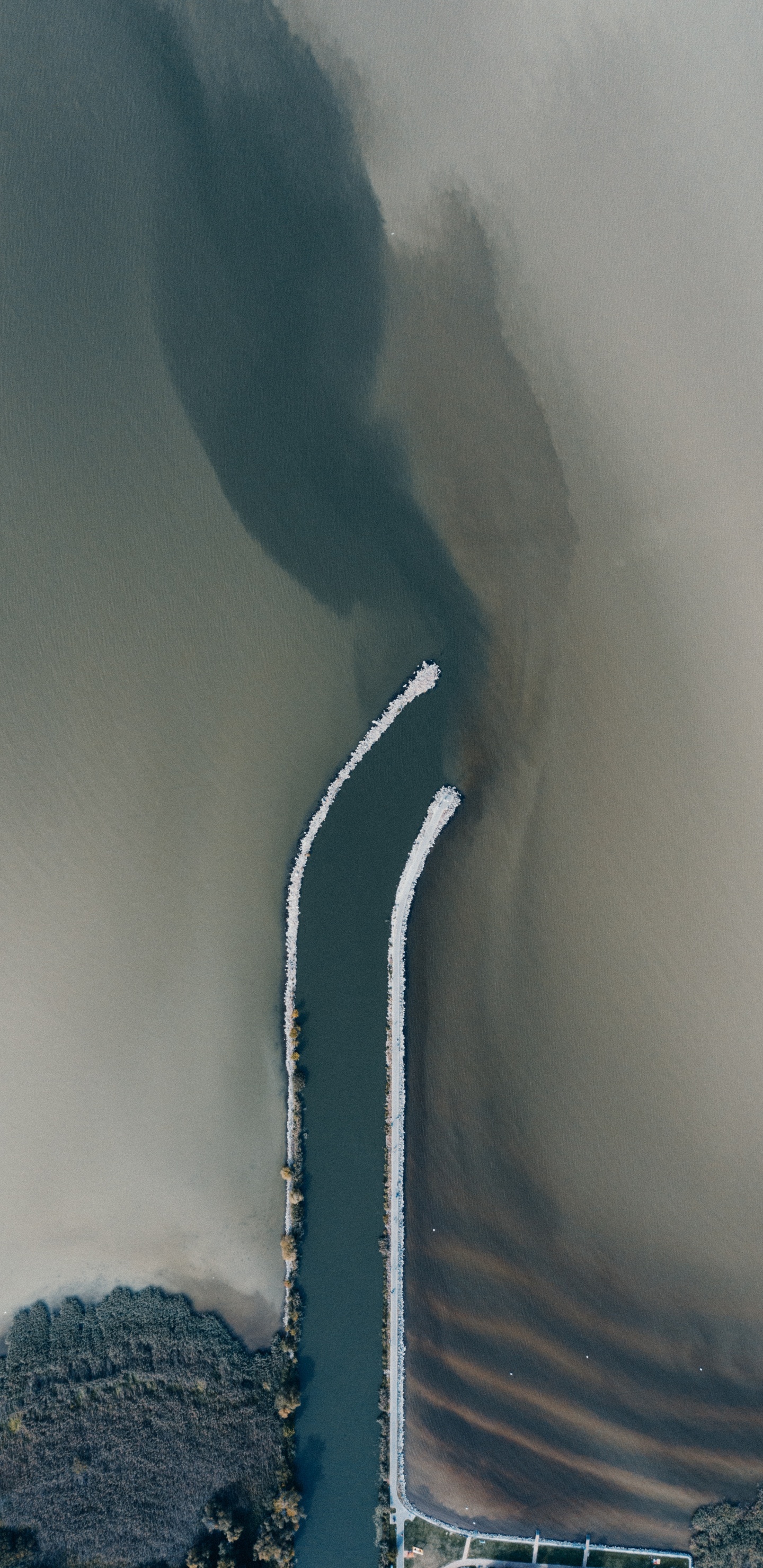 Обои вода, атмосфера, дерево, облако, мир в разрешении 1440x2960