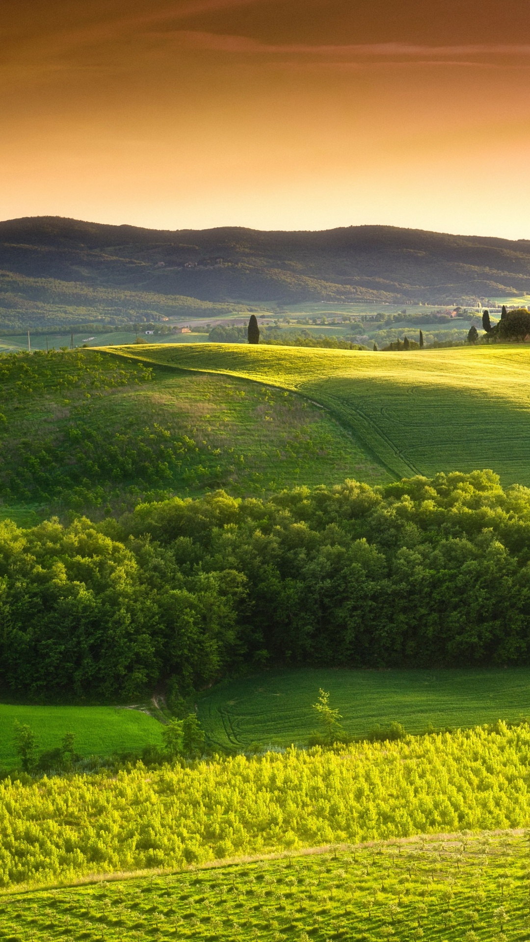 Обои Тоскана поля, Тоскана, природа, холм, поле в разрешении 1080x1920