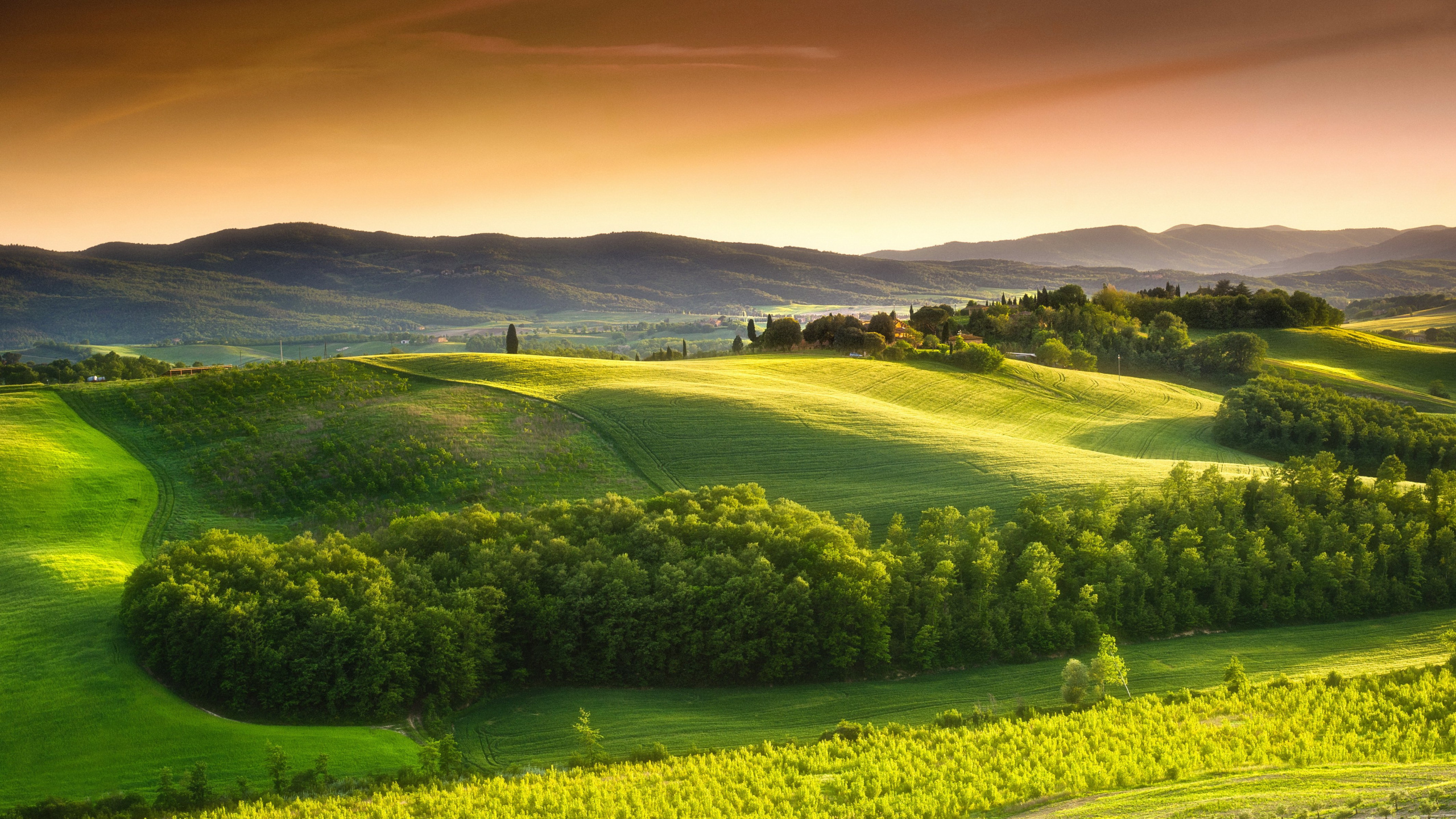 Обои Тоскана поля, Тоскана, природа, холм, поле в разрешении 2560x1440