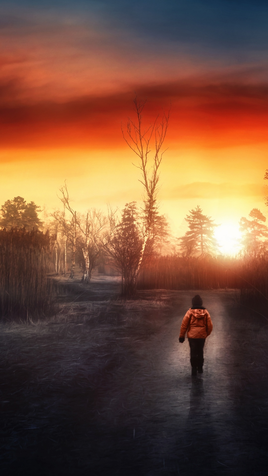 Обои облако, атмосфера, растение, природный ландшафт, послесвечение в разрешении 1080x1920