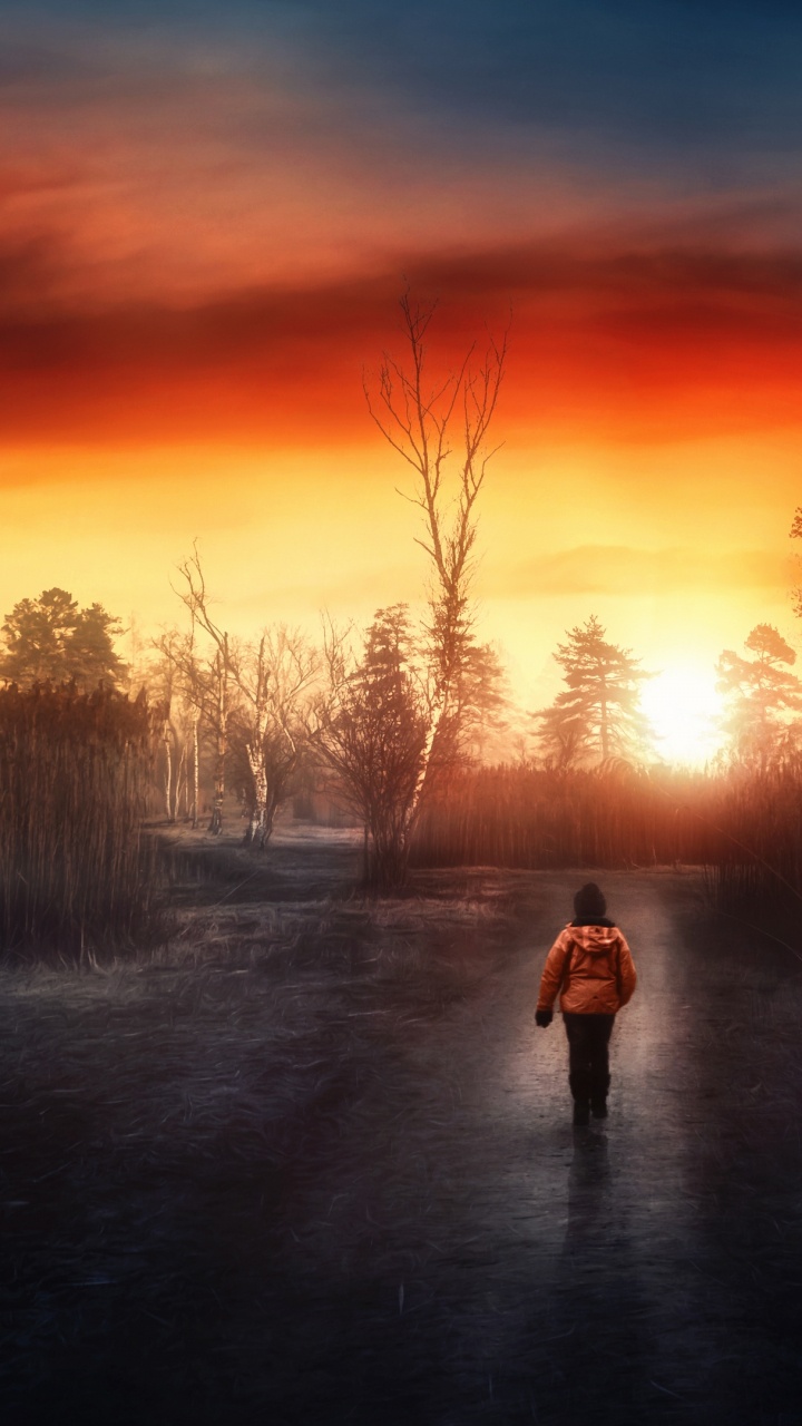 Обои облако, атмосфера, растение, природный ландшафт, послесвечение в разрешении 720x1280