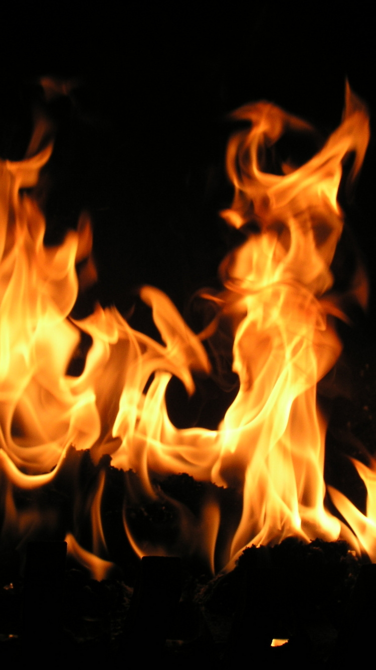 Обои пламя, огонь, тепло, костер в разрешении 750x1334