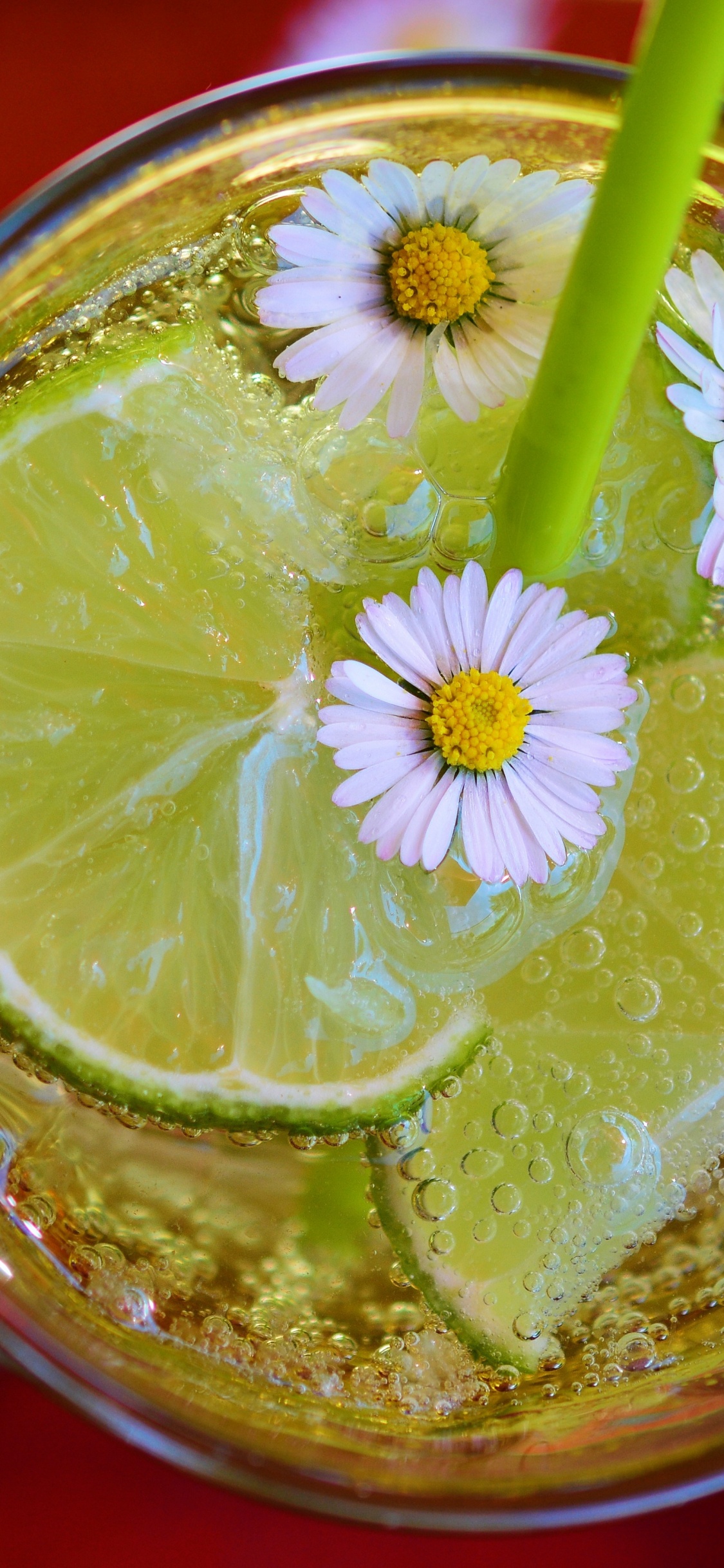 Обои лайм, известь, напиток, пища, лимонад в разрешении 1125x2436