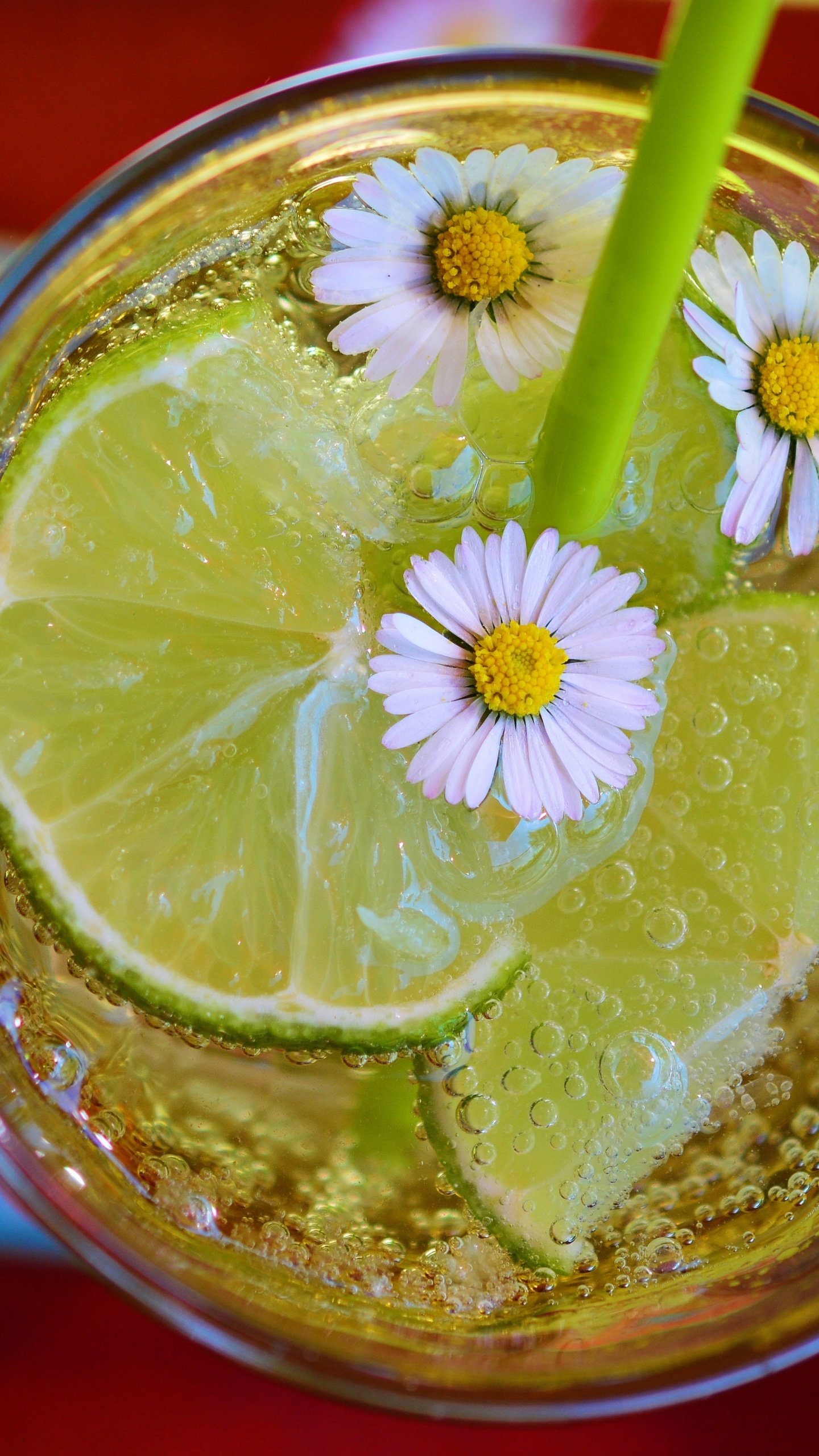 Обои лайм, известь, напиток, пища, лимонад в разрешении 1440x2560