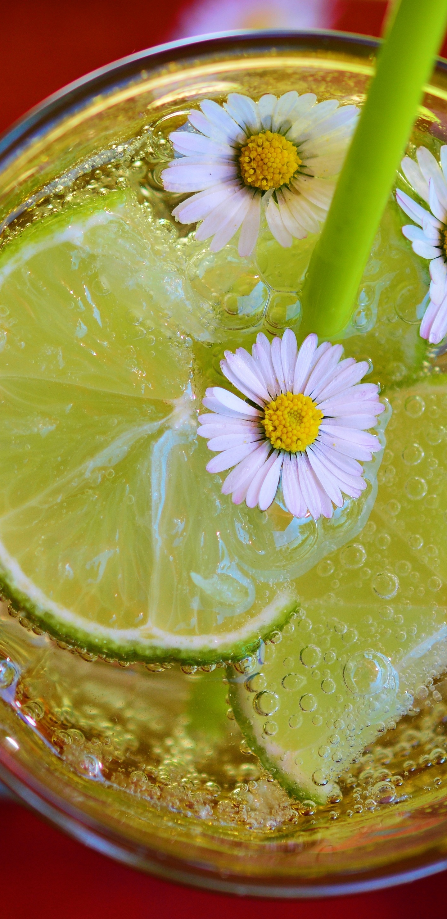 Обои лайм, известь, напиток, пища, лимонад в разрешении 1440x2960