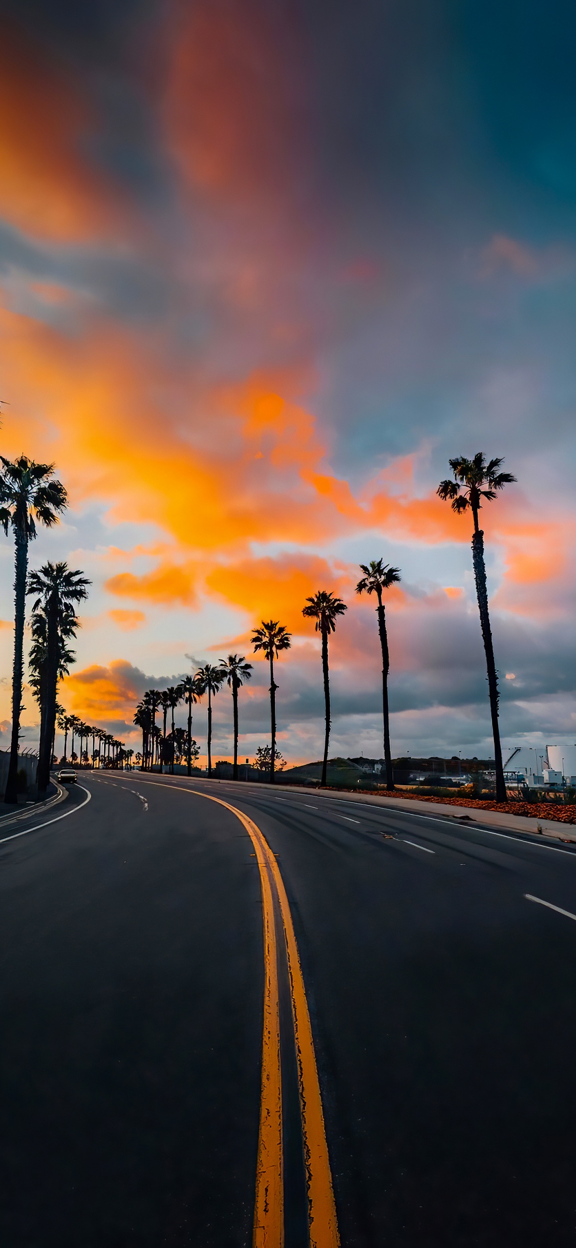 Обои облако, дневное время, растение, дерево, дорожное покрытие в разрешении 1125x2436