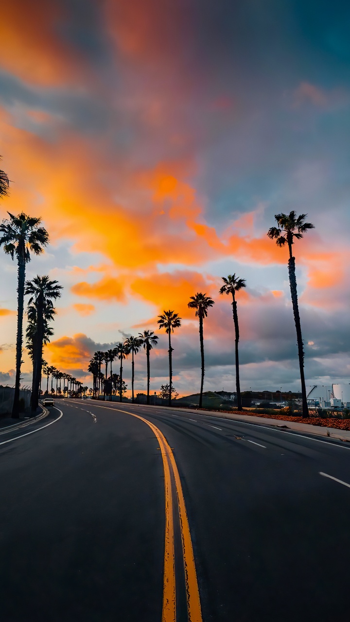 Обои облако, дневное время, растение, дерево, дорожное покрытие в разрешении 720x1280