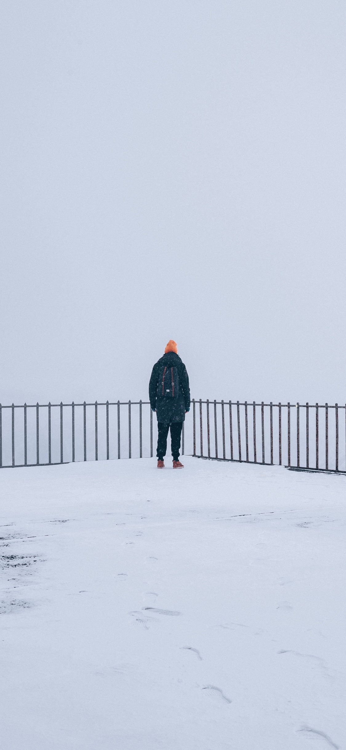 Обои снег, зима, замораживание, стояние, дымка в разрешении 1125x2436