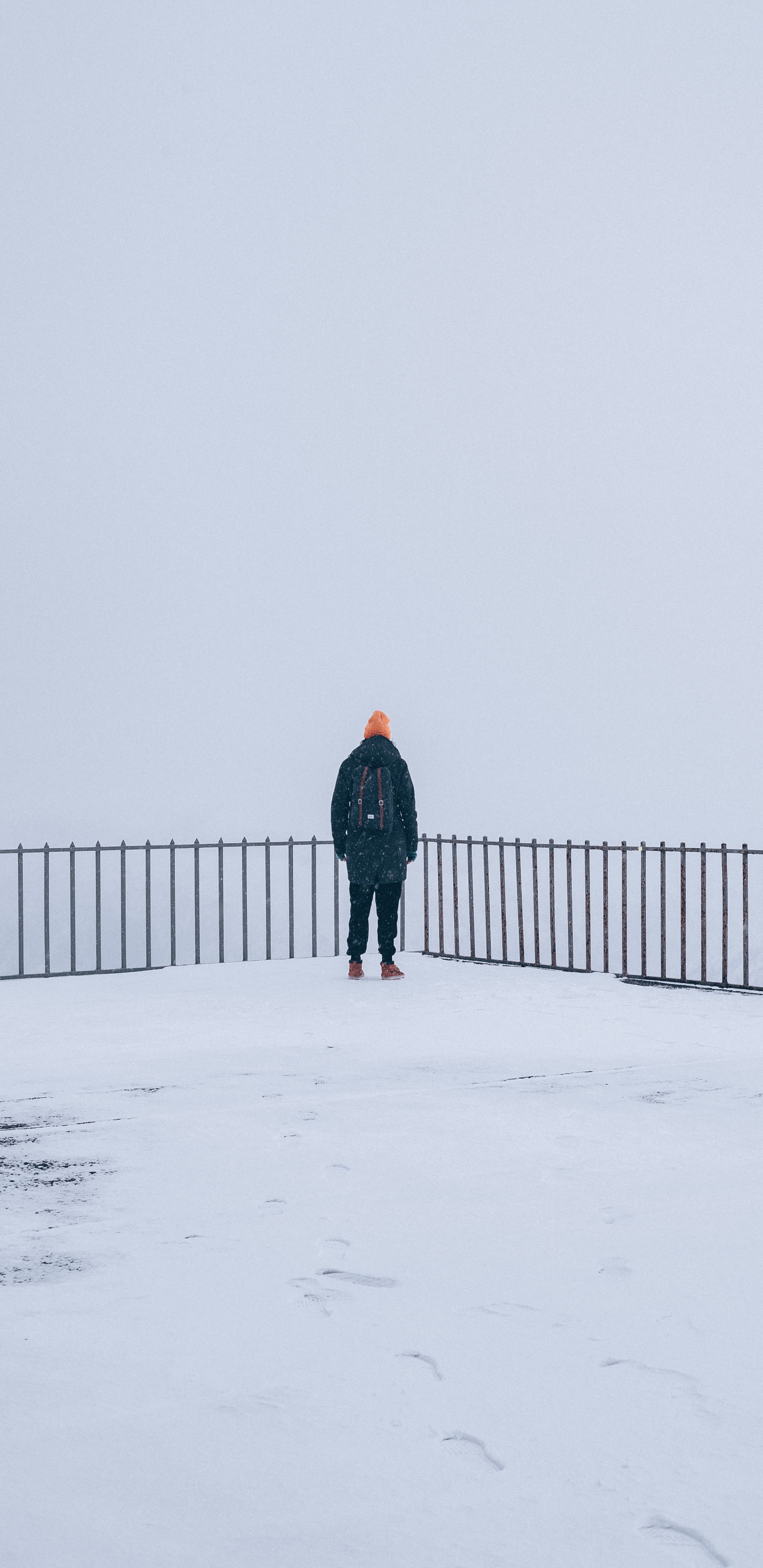 Обои снег, зима, замораживание, стояние, дымка в разрешении 1440x2960