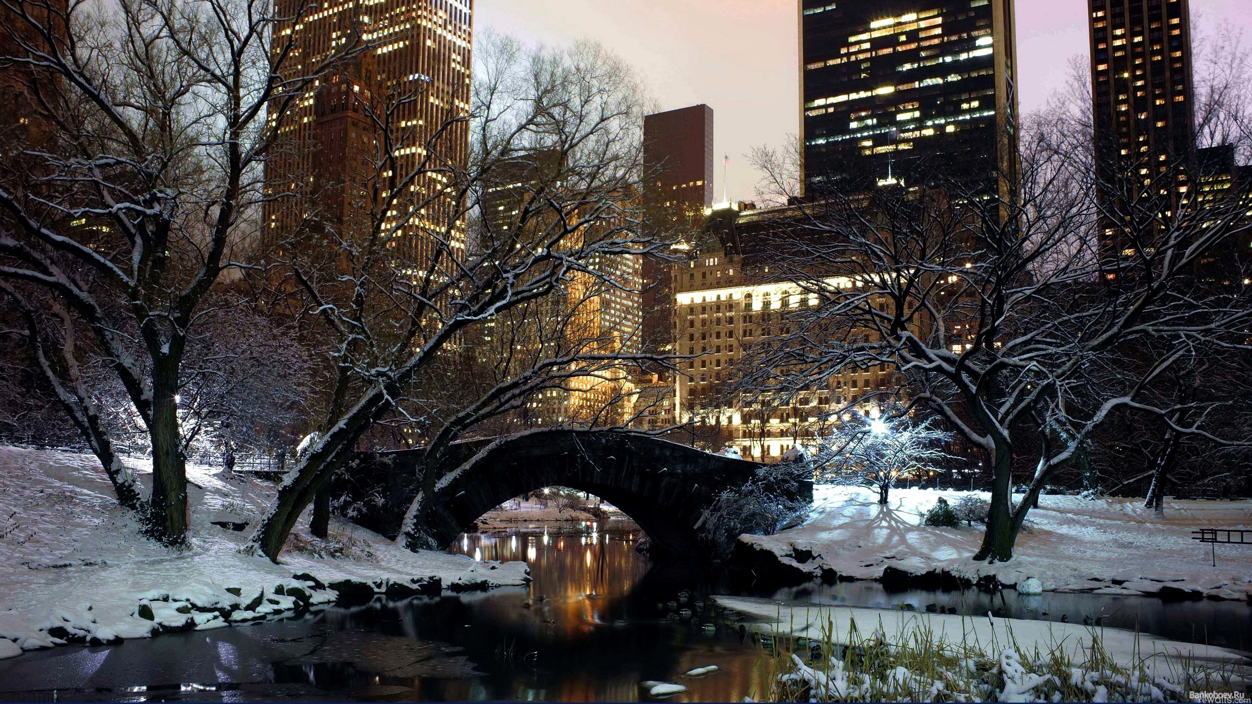 Обои Центральный парк, зима, снег, вода, дерево в разрешении 2560x1440