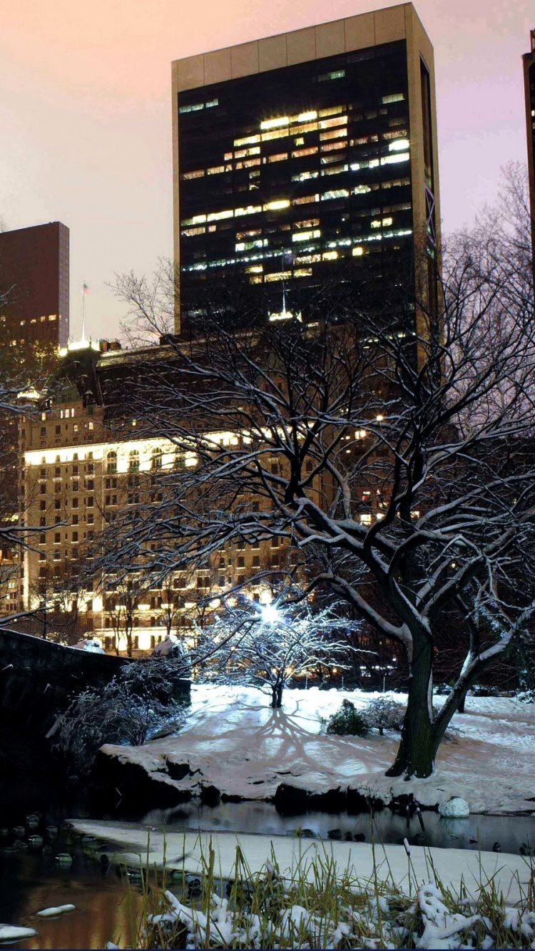 Обои Центральный парк, зима, снег, вода, дерево в разрешении 750x1334