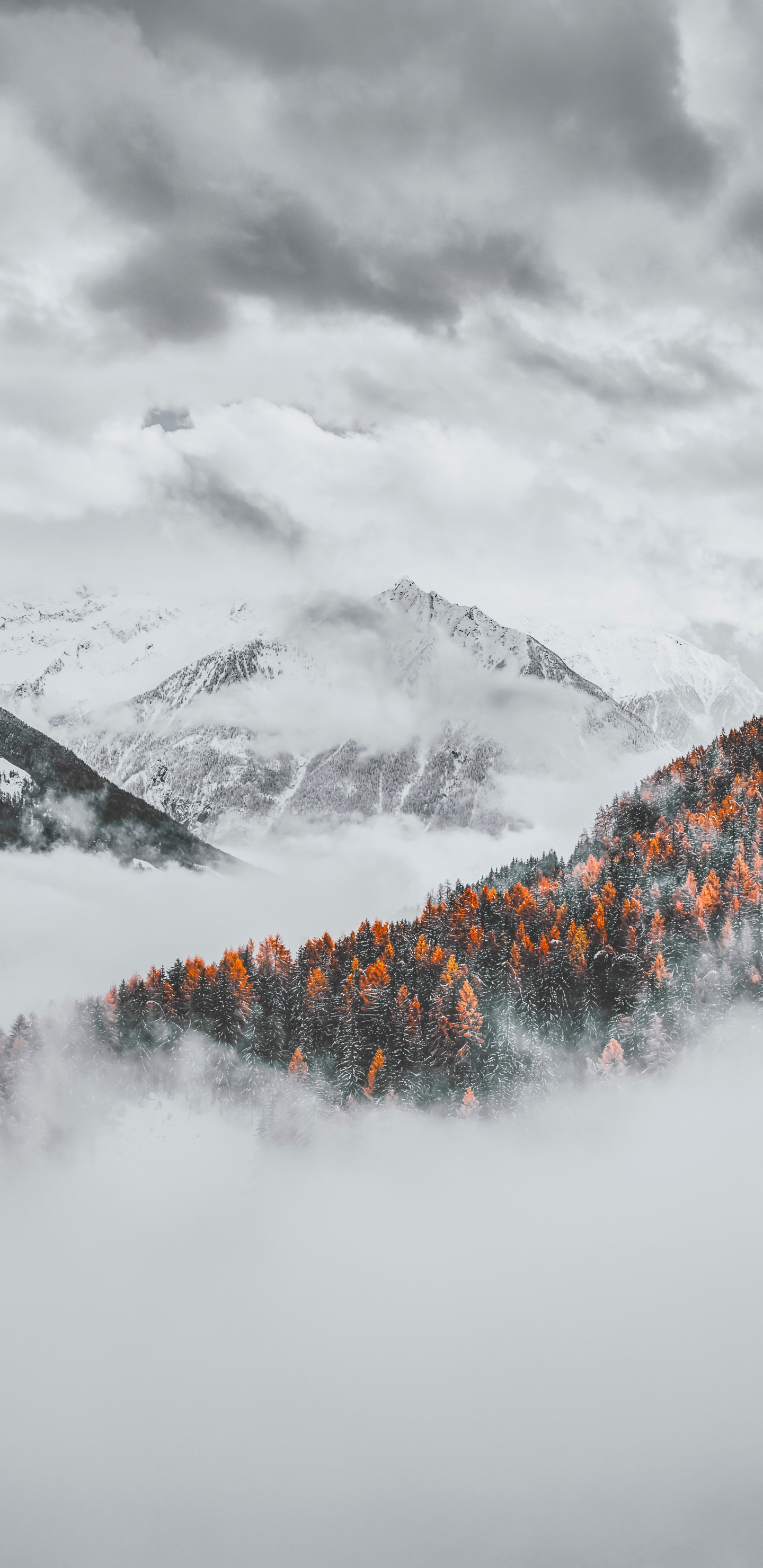 Обои облако, снег, зима, горный рельеф, гора в разрешении 1440x2960