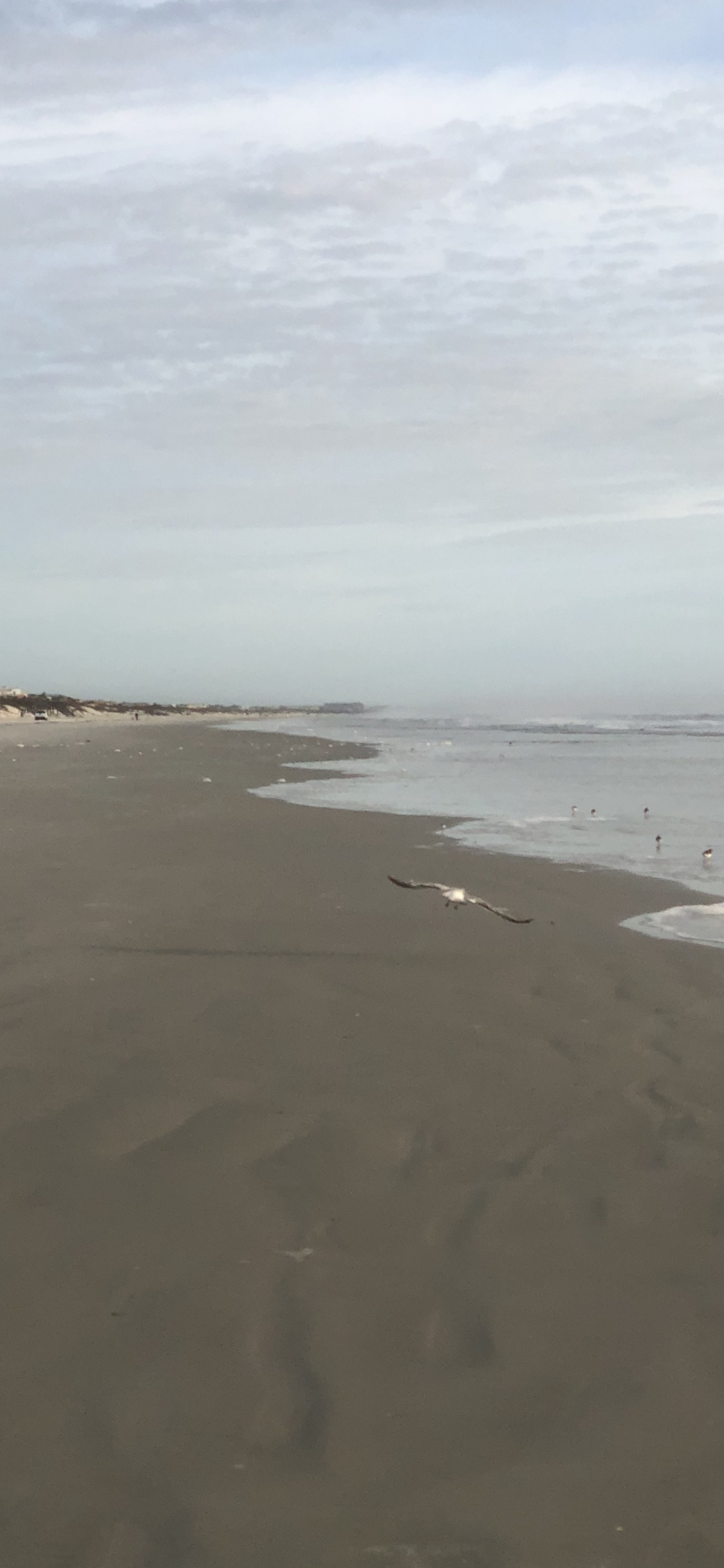 Обои море, мадфлэт, ветровая волна, прилив, водоем в разрешении 1125x2436