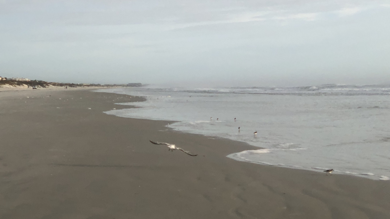 Обои море, мадфлэт, ветровая волна, прилив, водоем в разрешении 1366x768