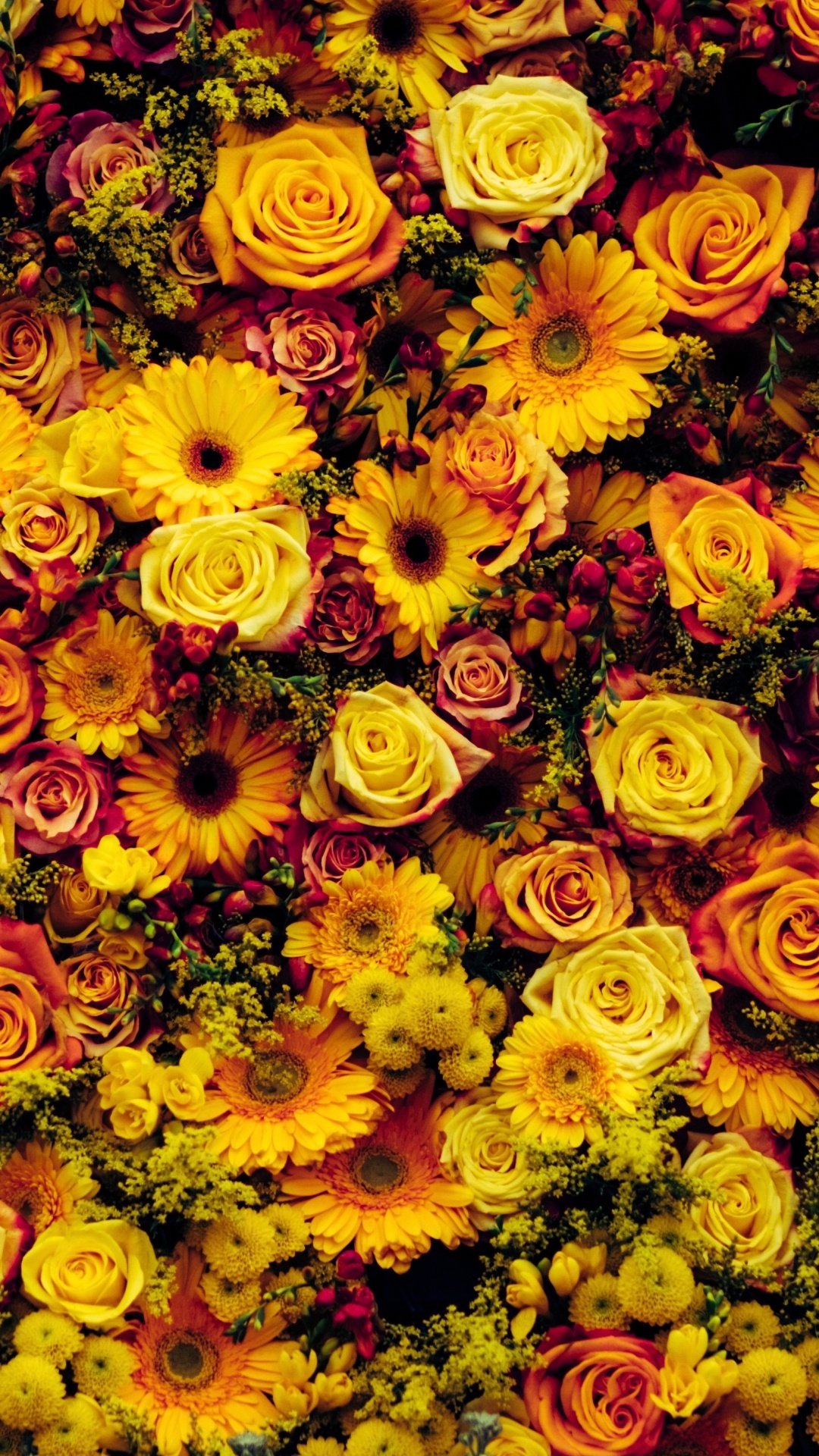 Обои цветок, цветочный дизайн, желтый, растение, флористика в разрешении 1080x1920