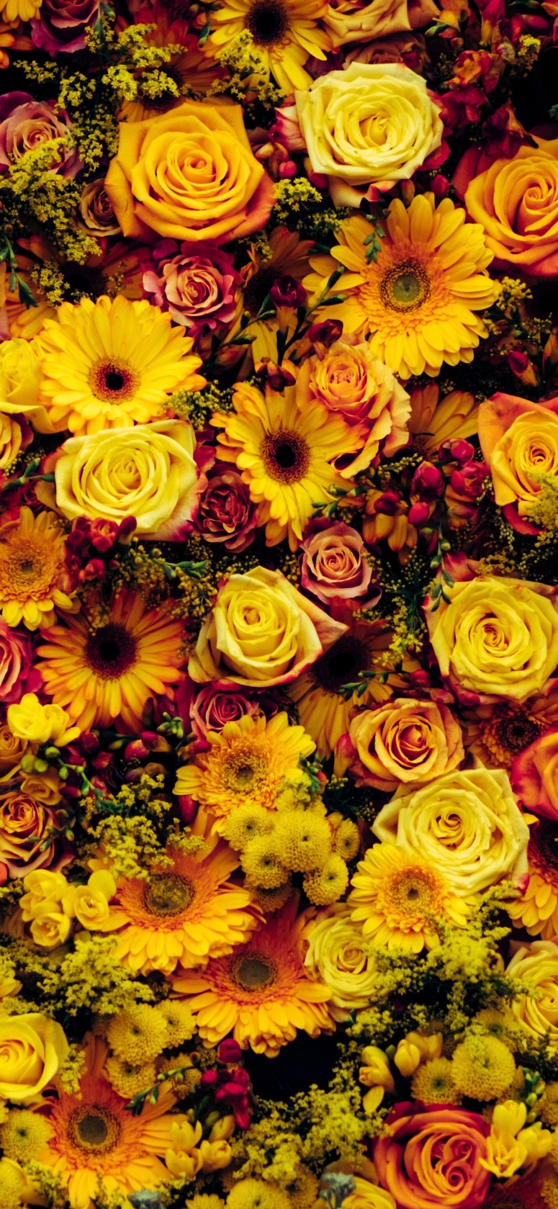 Обои цветок, цветочный дизайн, желтый, растение, флористика в разрешении 1125x2436