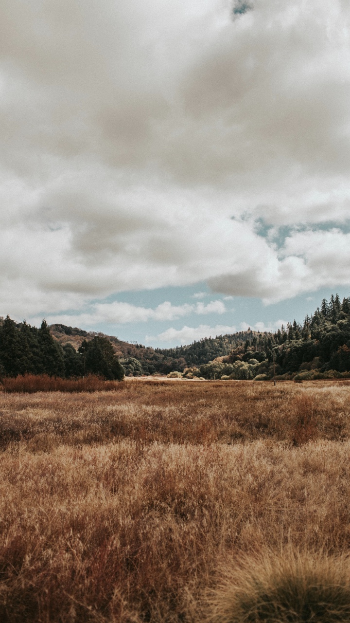 Обои природный ландшафт, природа, облако, окружающая среда, сенокосное угодье в разрешении 720x1280