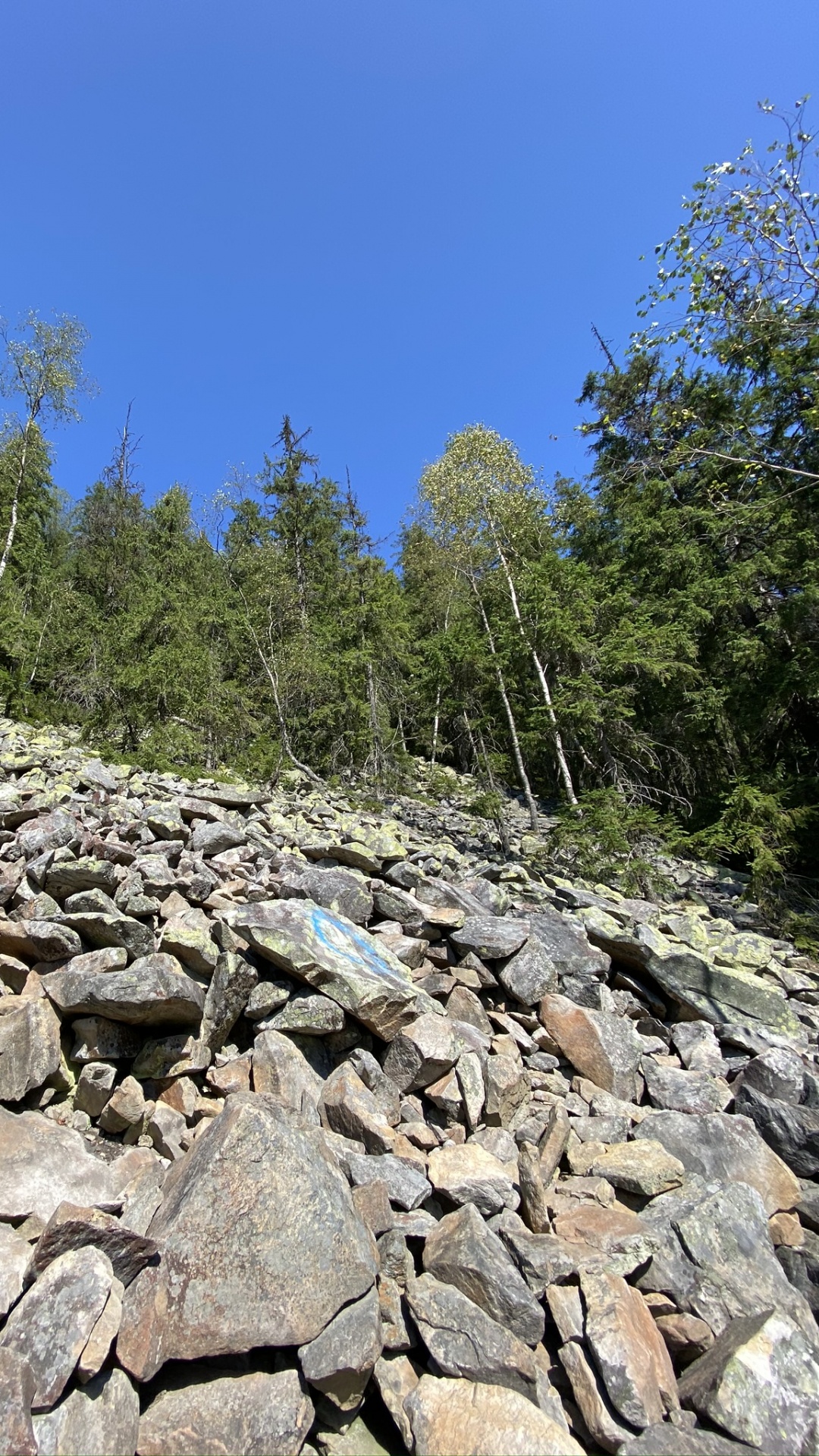 Обои дикая местность, вода, рок, растительное сообщество, коренная порода в разрешении 1080x1920