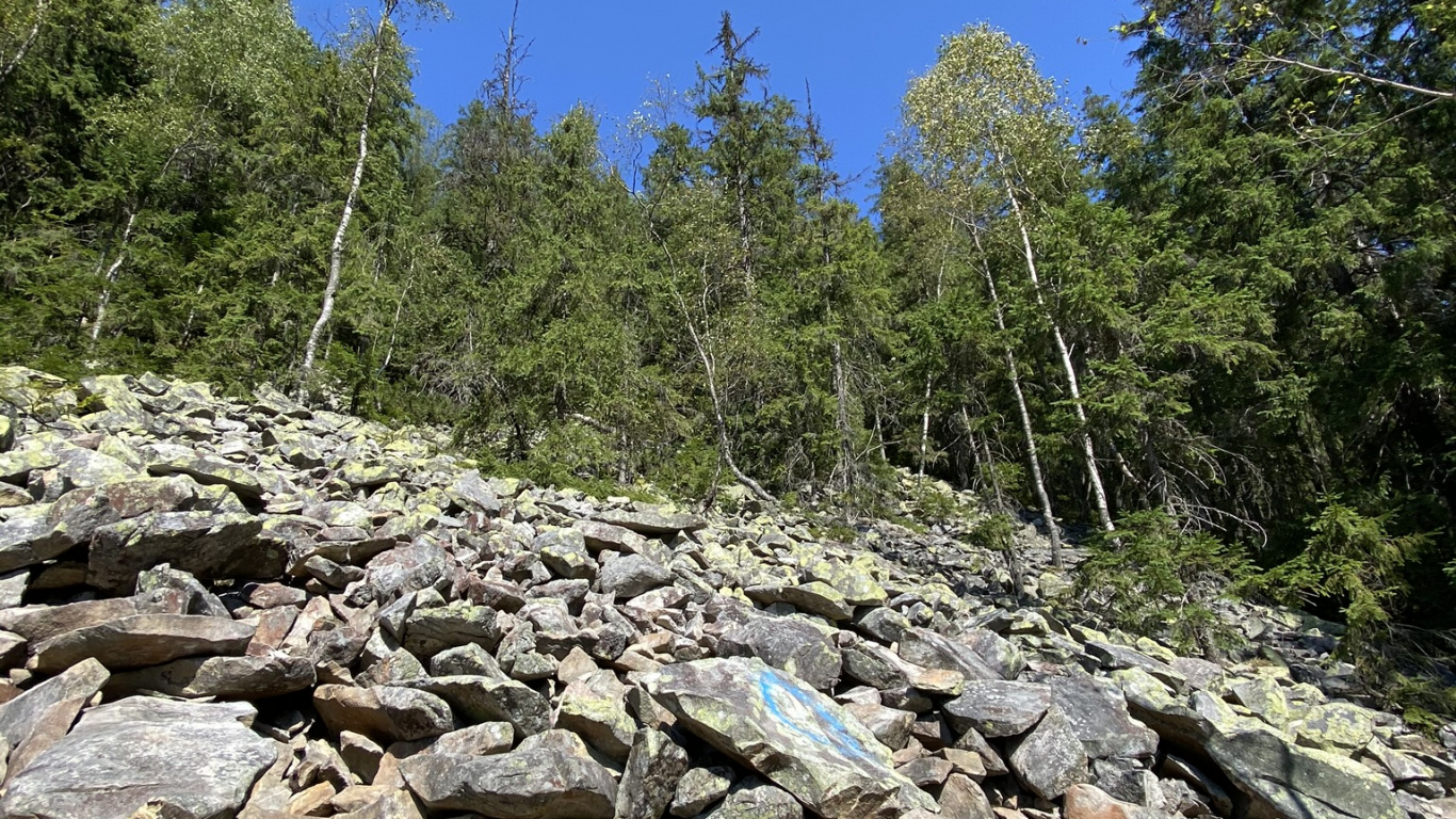 Обои дикая местность, вода, рок, растительное сообщество, коренная порода в разрешении 1366x768