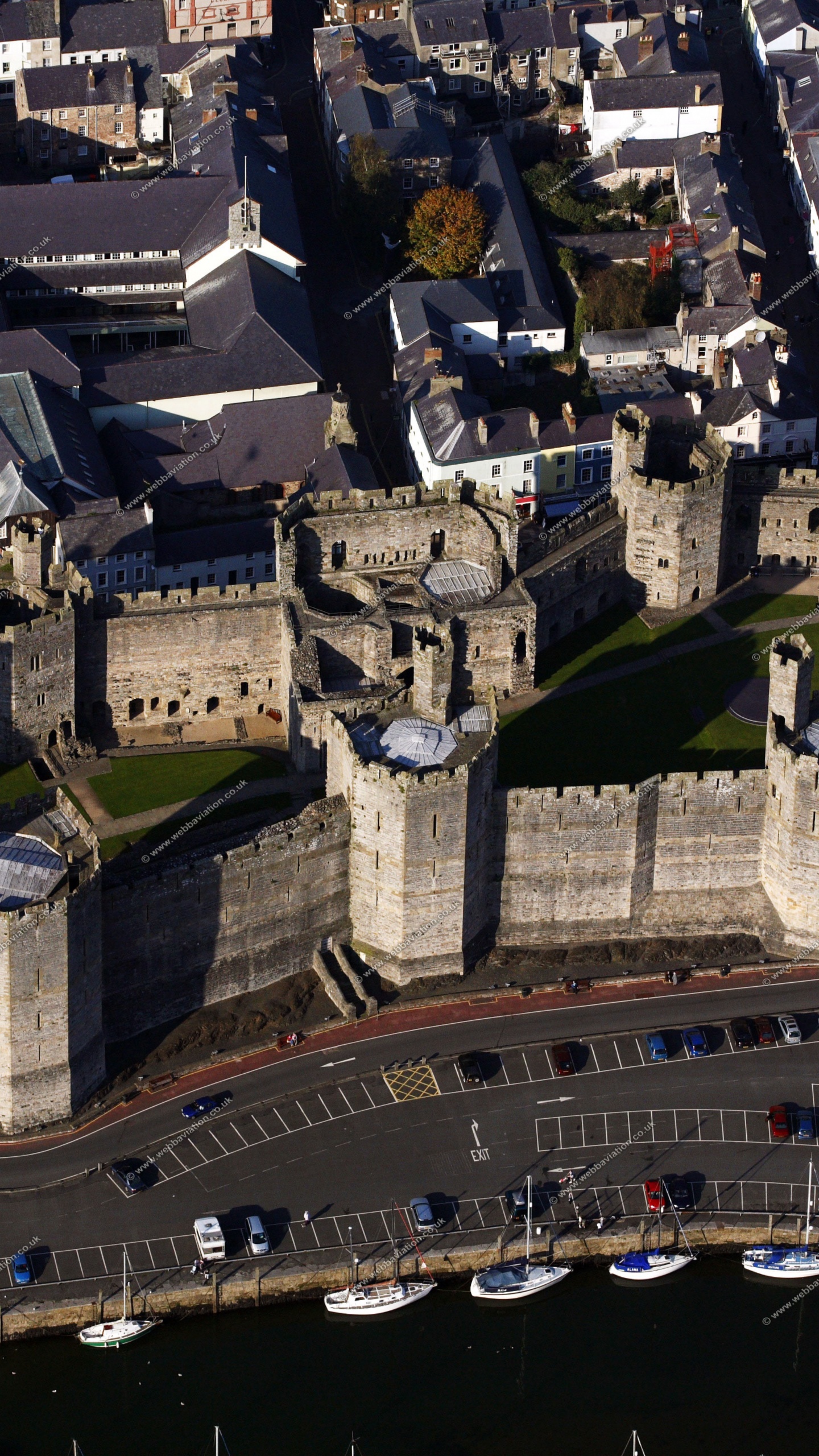 Обои Замок Карнарвон, замок, городской район, город, здание в разрешении 1440x2560