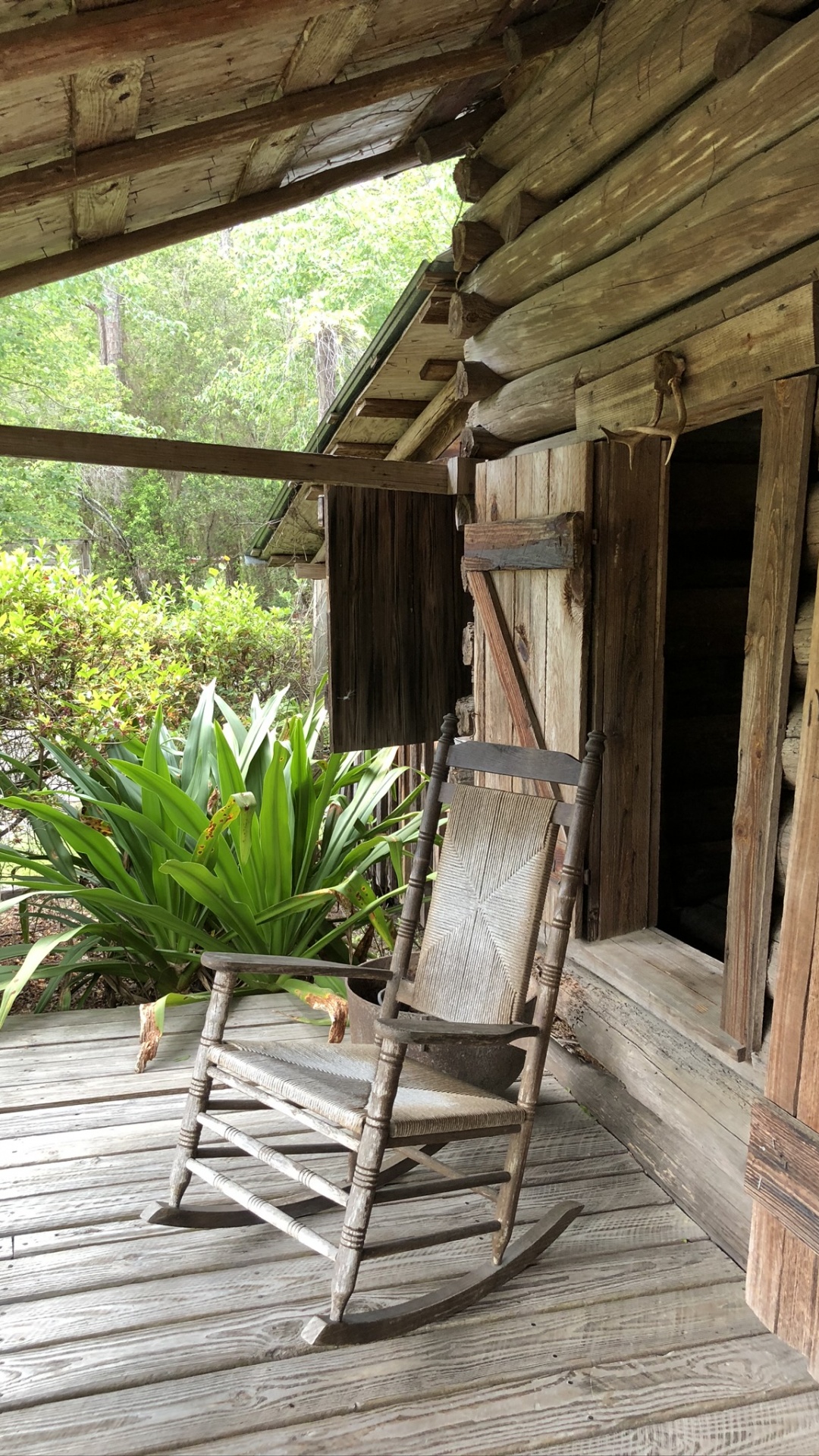 Обои бревенчатый домик, биология, древесина, твердая древесина, сельский район в разрешении 1080x1920