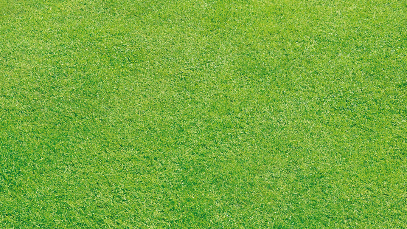 Обои сенокосное угодье, зеленый, газон, искусственное покрытие, луг в разрешении 1366x768