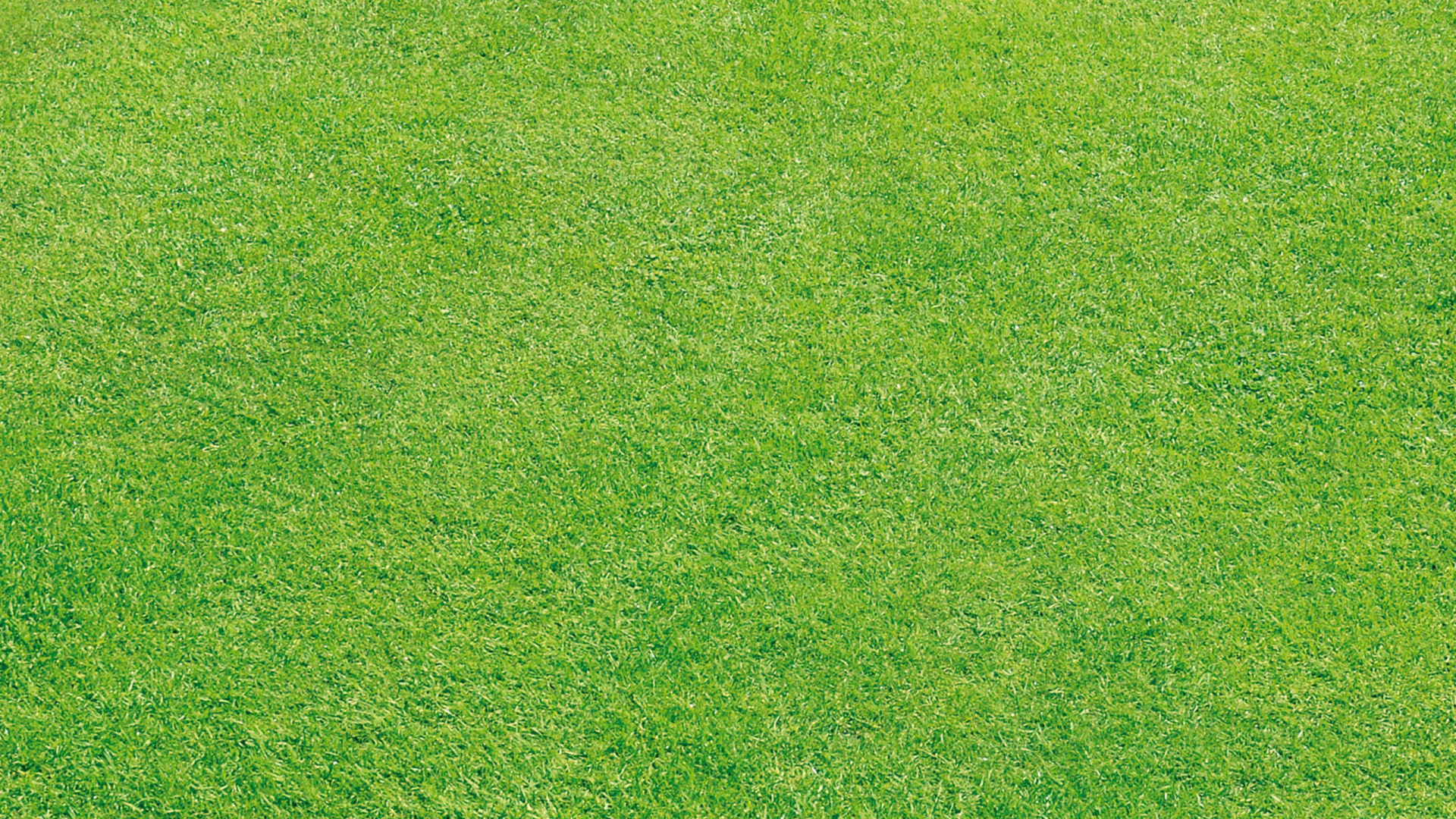 Обои сенокосное угодье, зеленый, газон, искусственное покрытие, луг в разрешении 1920x1080