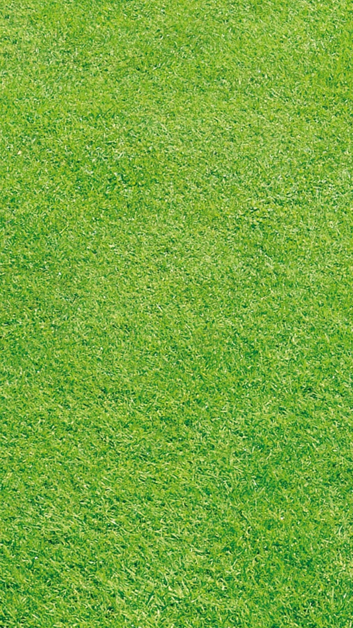 Обои сенокосное угодье, зеленый, газон, искусственное покрытие, луг в разрешении 720x1280