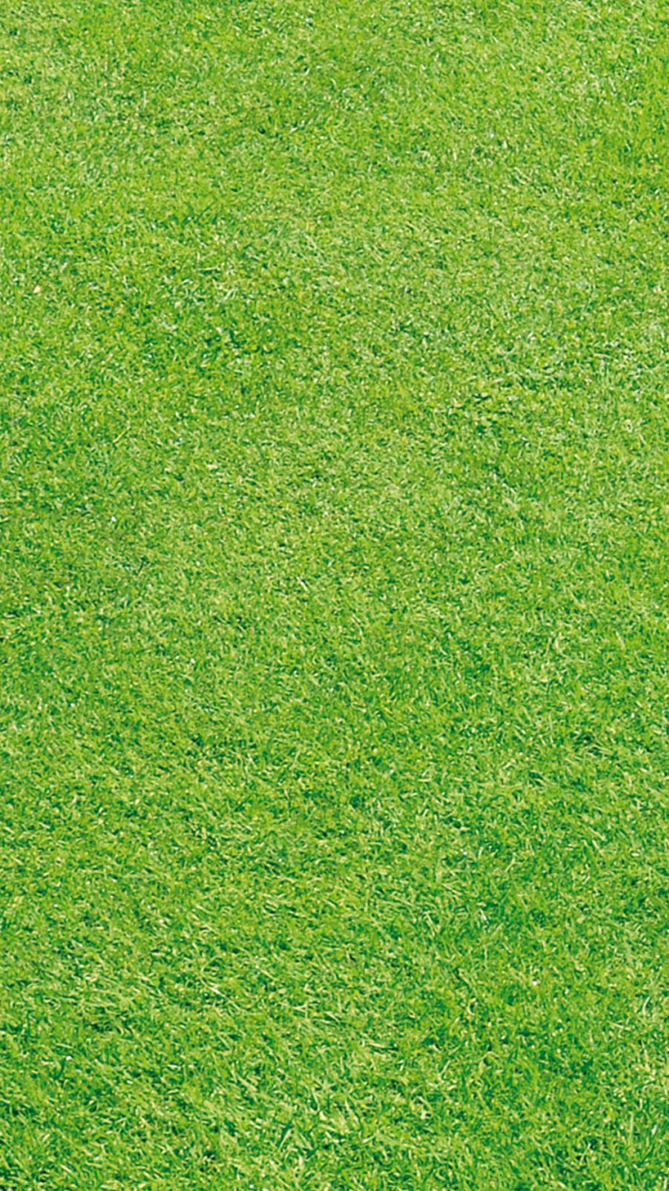 Обои сенокосное угодье, зеленый, газон, искусственное покрытие, луг в разрешении 750x1334