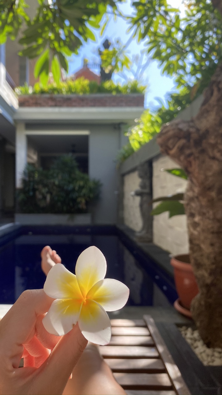 Обои цветок, лепесток, свойство, недвижимость, Хаус в разрешении 720x1280