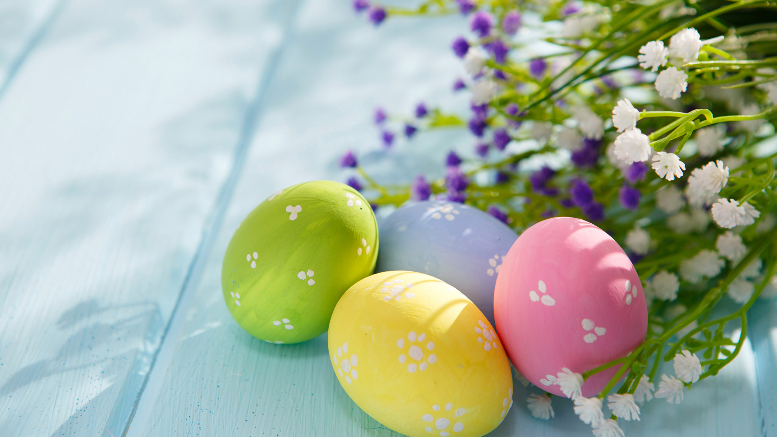 Обои пасхальное яйцо, пасха, праздник, весна в разрешении 2560x1440