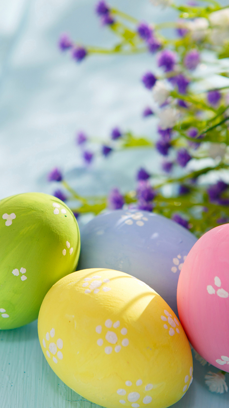 Обои пасхальное яйцо, пасха, праздник, весна в разрешении 750x1334