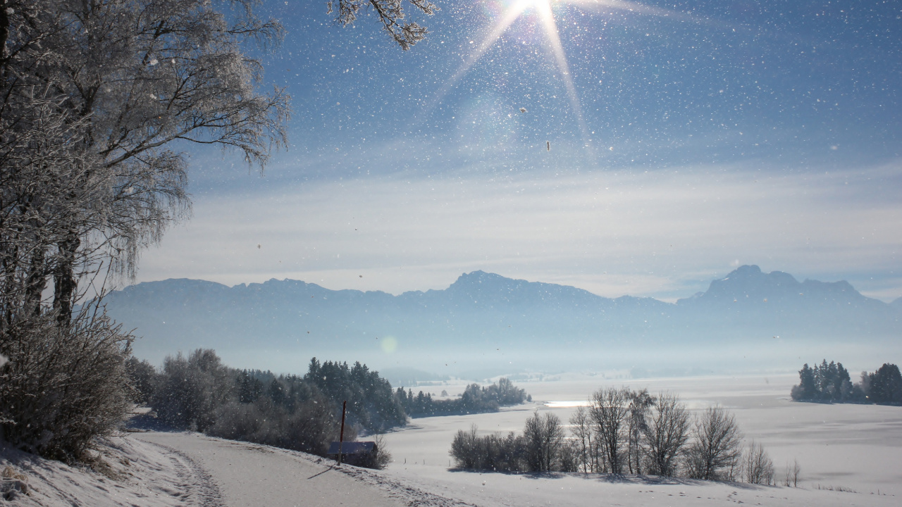 Обои снег, зима, природа, природный ландшафт, замораживание в разрешении 1280x720