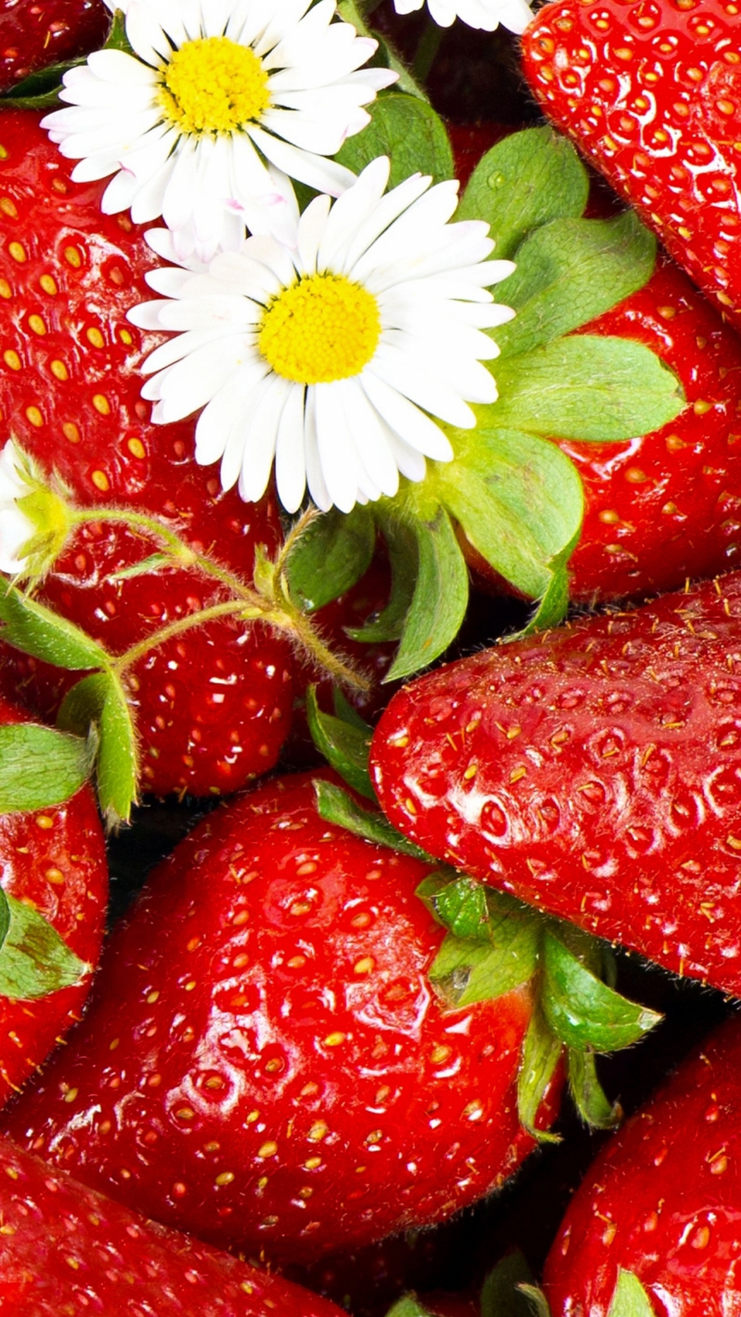 Обои клубника, фрукты, природные продукты, пища, диетическое питание в разрешении 1440x2560