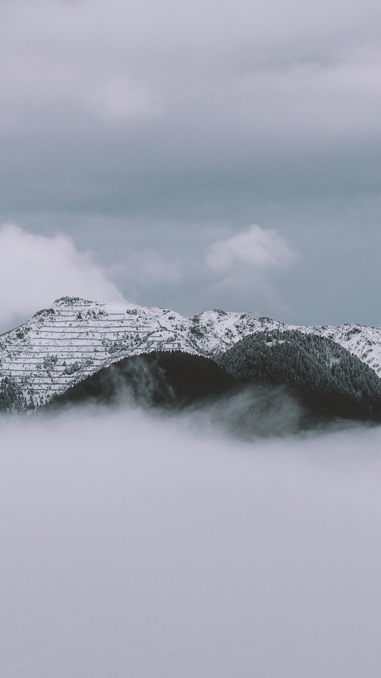Обои палитра, вода, пейзажная живопись, ледяная форма, снег в разрешении 750x1334