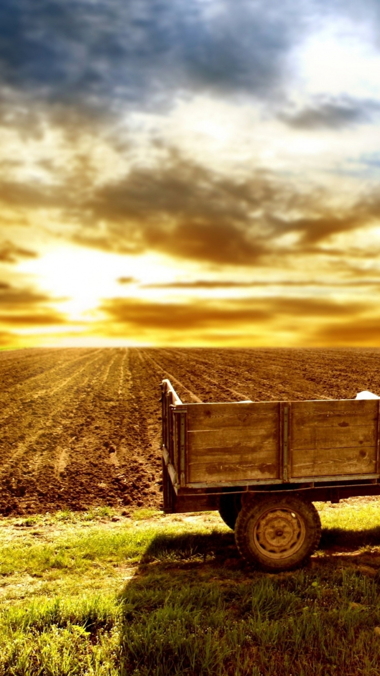 Обои Ферма, сельское хозяйство, трактор, сельский район, природа в разрешении 750x1334