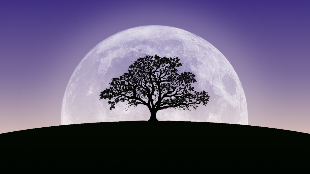 Обои земля, атмосфера, луна, экорегион, полумесяц в разрешении 1280x720