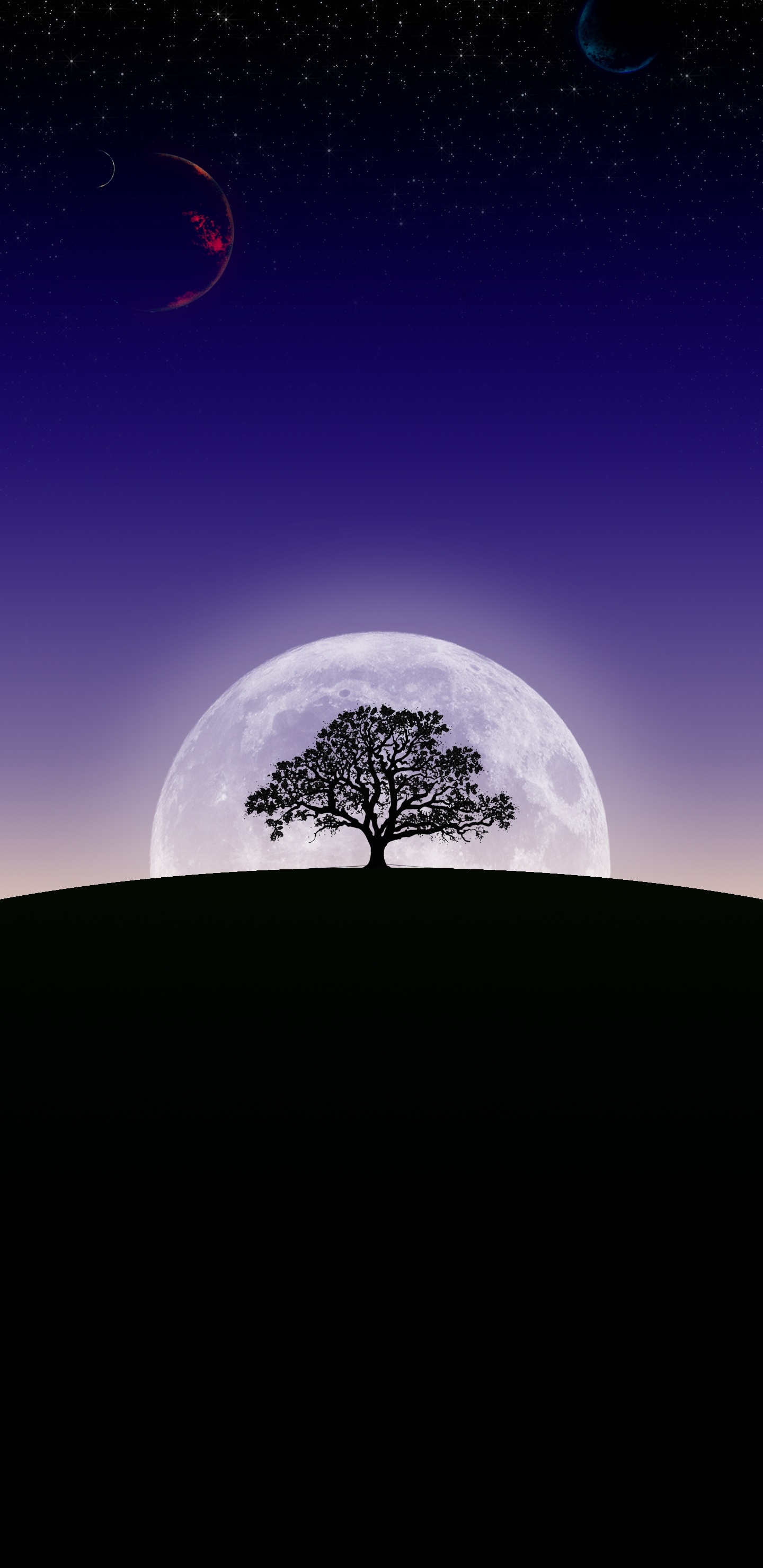 Обои земля, атмосфера, луна, экорегион, полумесяц в разрешении 1440x2960