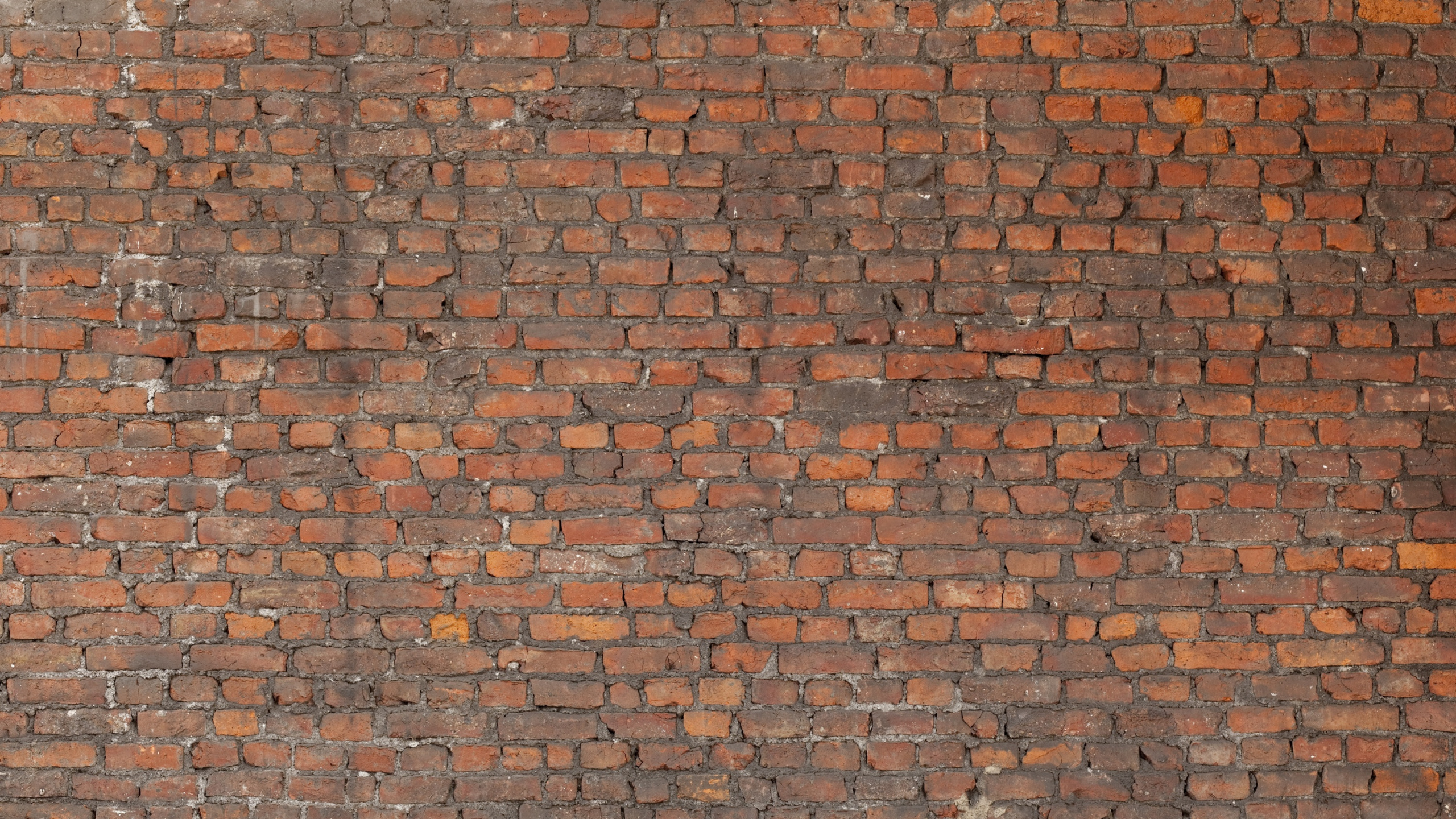 Обои каменная стена, кирпичная кладка, стена, кирпич, текстура в разрешении 2560x1440