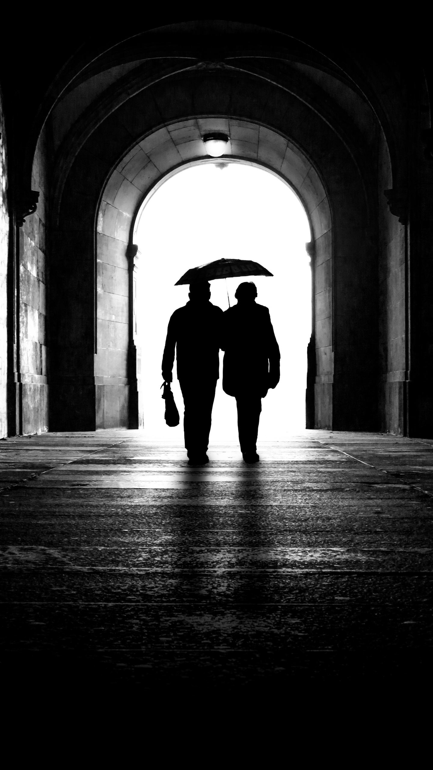 Обои белые, черный, темнота, монохромный, свет в разрешении 1440x2560