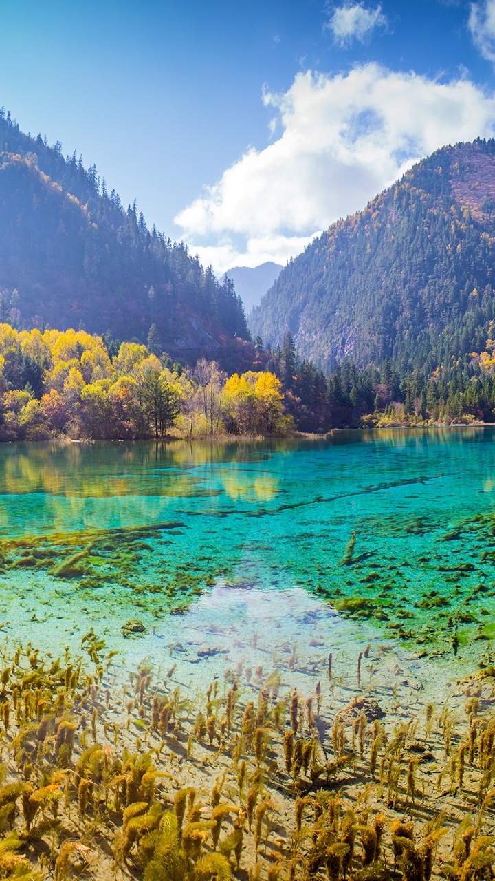 Обои парк, национальный парк, Долина, природа, гора в разрешении 720x1280