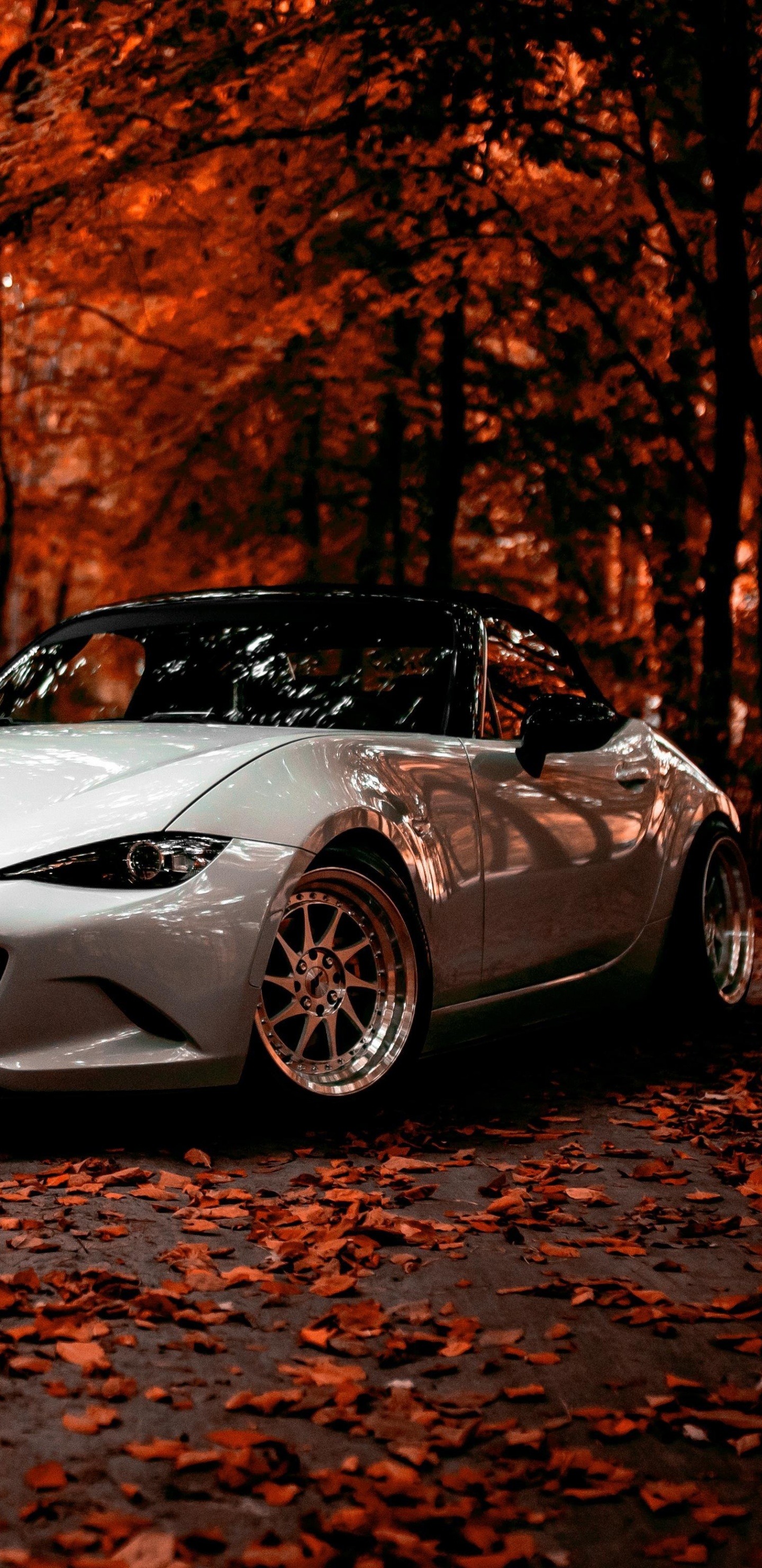 Обои Mazda Motor Corporation, спорткар, авто, Мазда, суперкар в разрешении 1440x2960