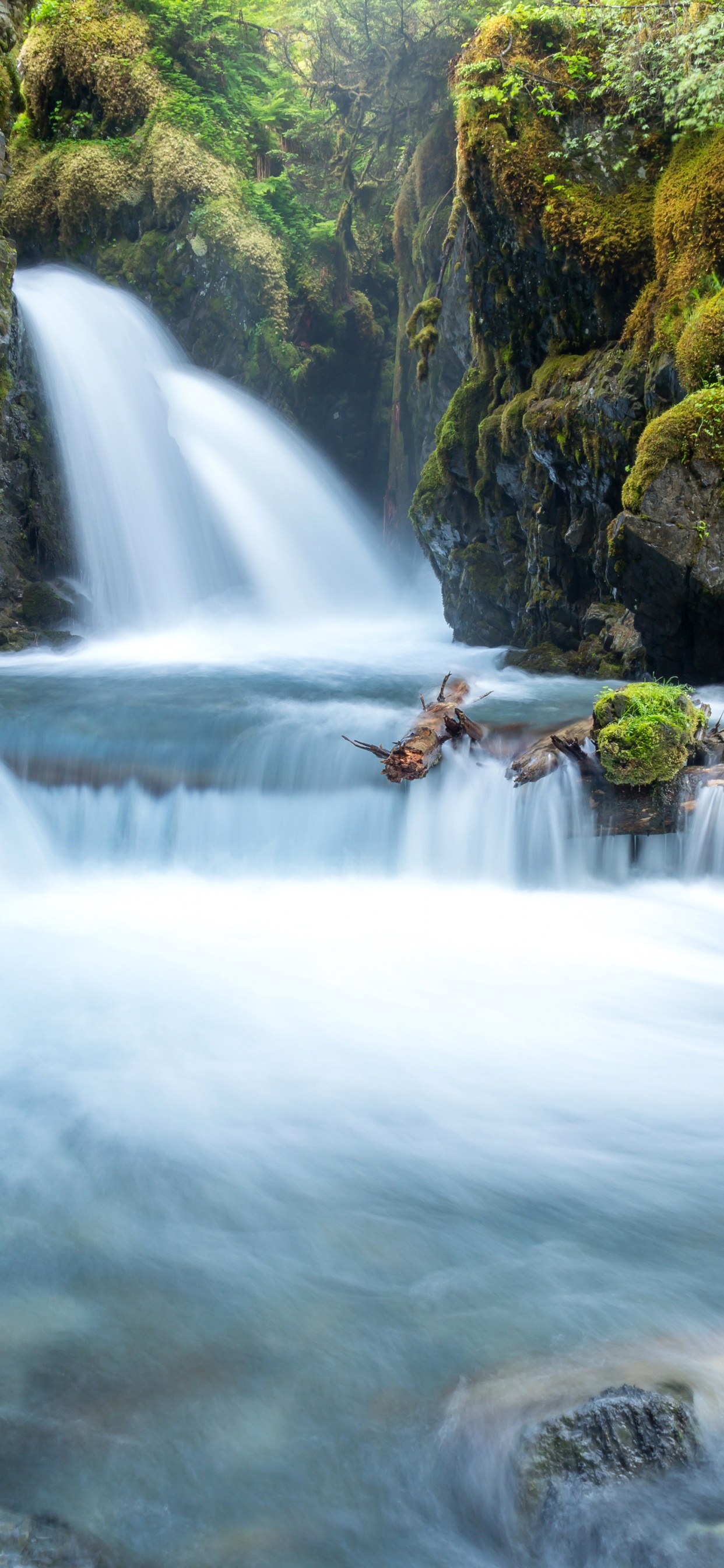 Обои водопад, водоем, гидроресурсы, природа, вода в разрешении 1242x2688