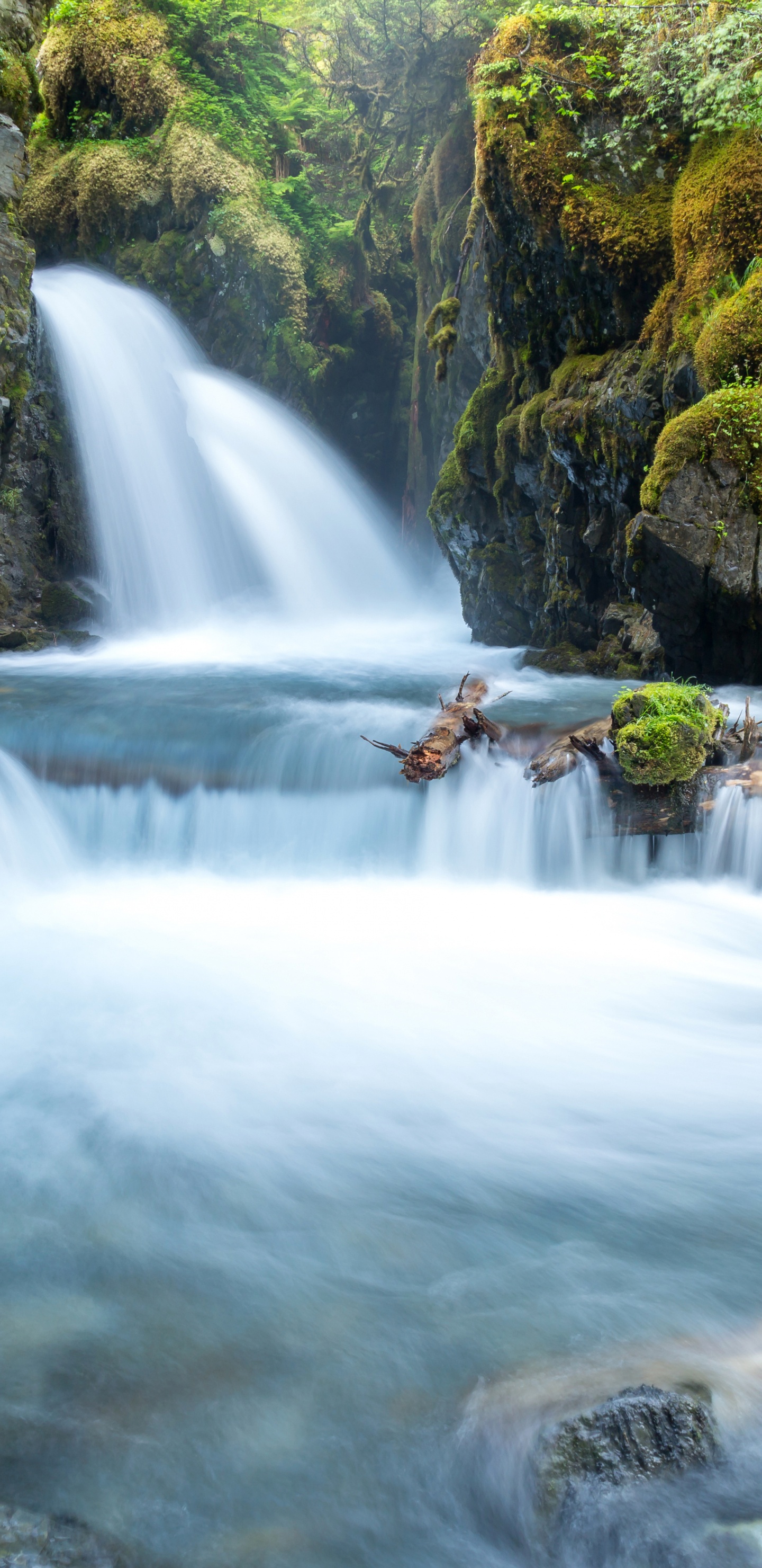 Обои водопад, водоем, гидроресурсы, природа, вода в разрешении 1440x2960