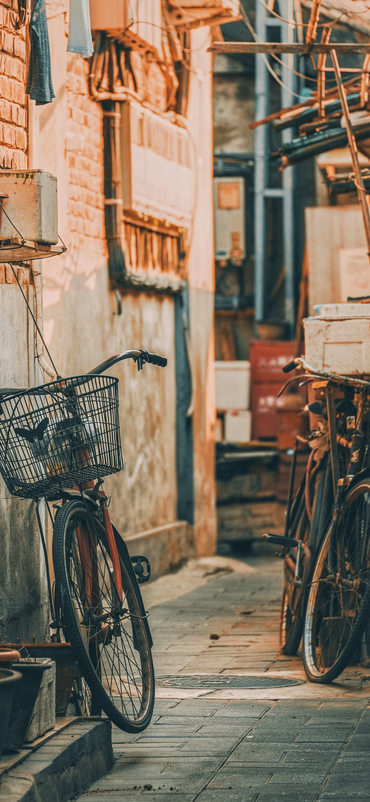 Обои аллея, велосипед, колесо, шина, передняя и задняя стойка велосипеда в разрешении 1242x2688