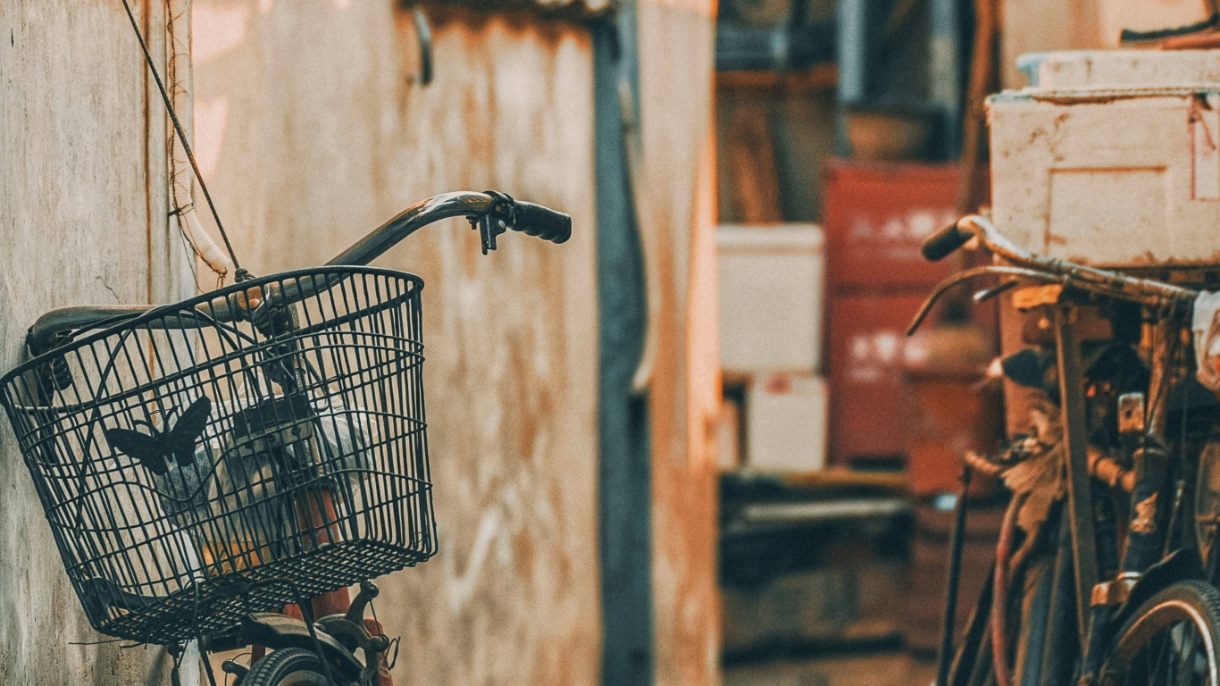 Обои аллея, велосипед, колесо, шина, передняя и задняя стойка велосипеда в разрешении 1366x768