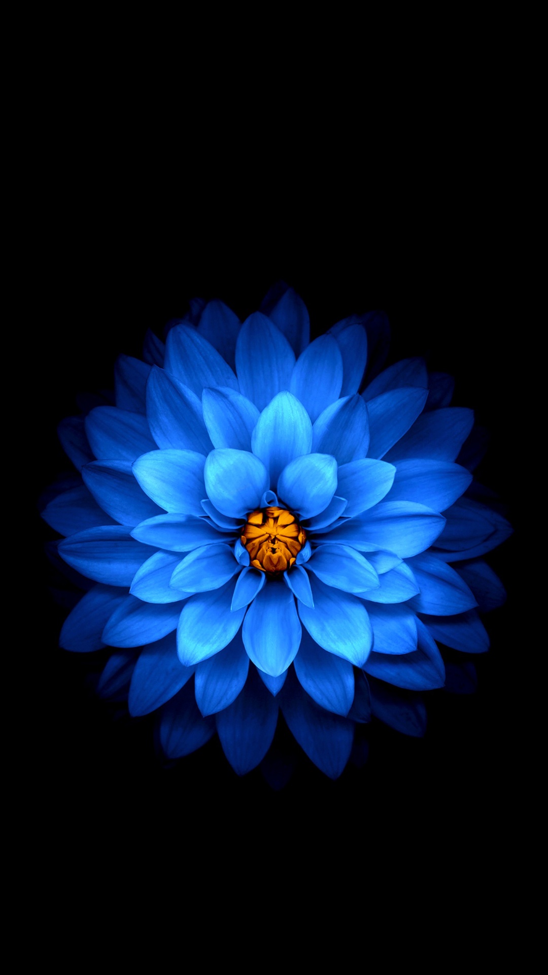 Обои apple, iPhone, iPhone X, яблоко, синий в разрешении 1080x1920