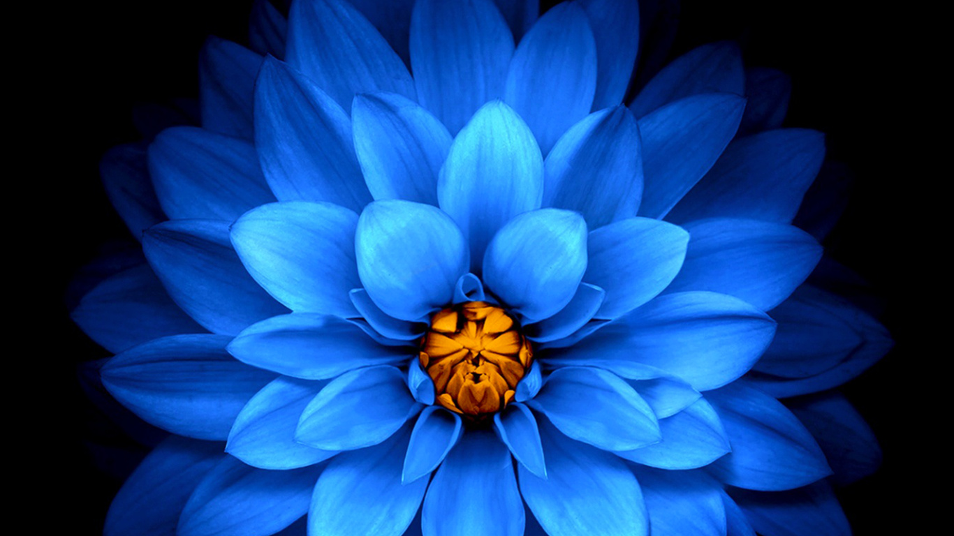 Обои apple, iPhone, iPhone X, яблоко, синий в разрешении 1366x768